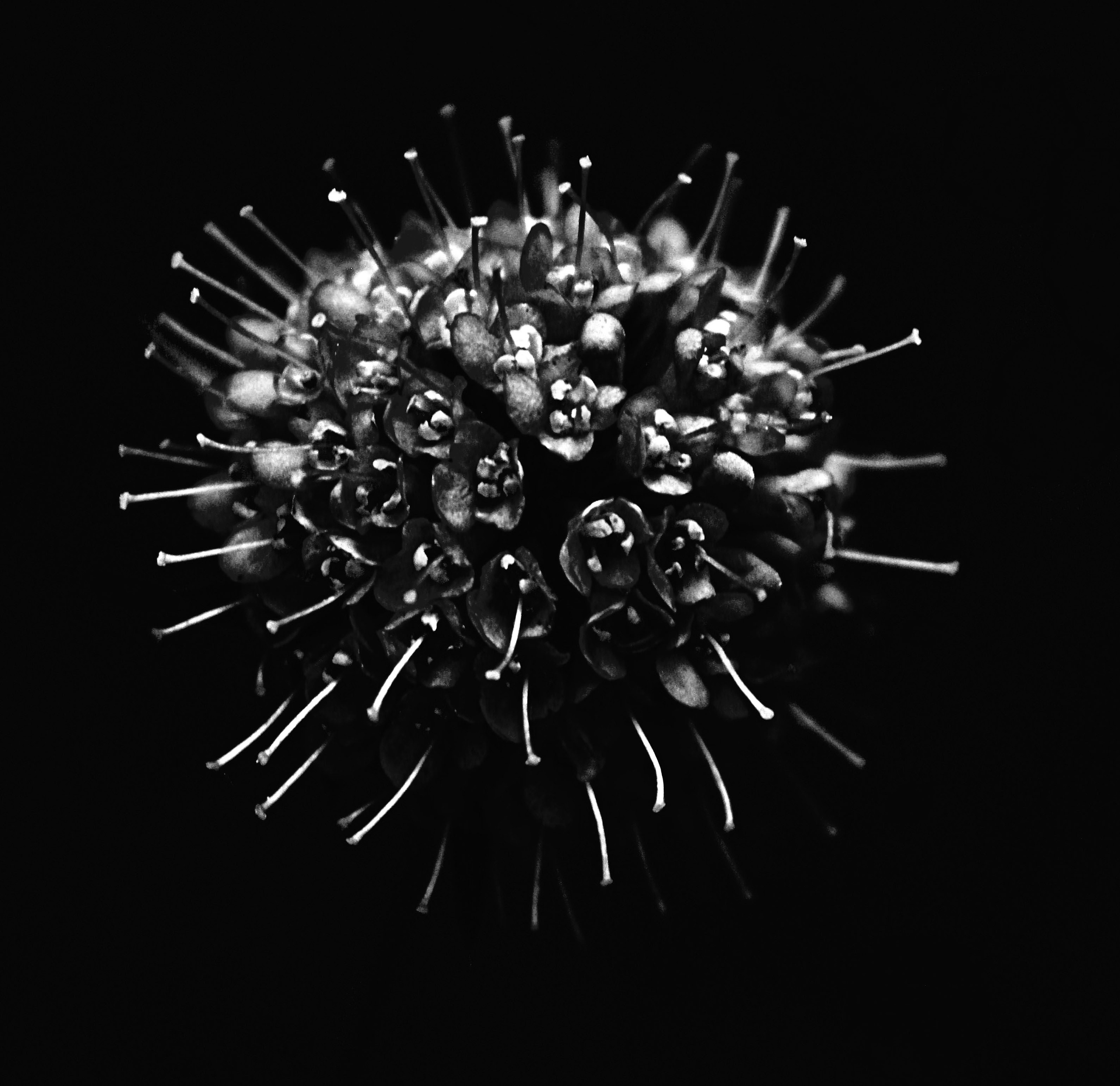 Чёрное белое. Обо всём