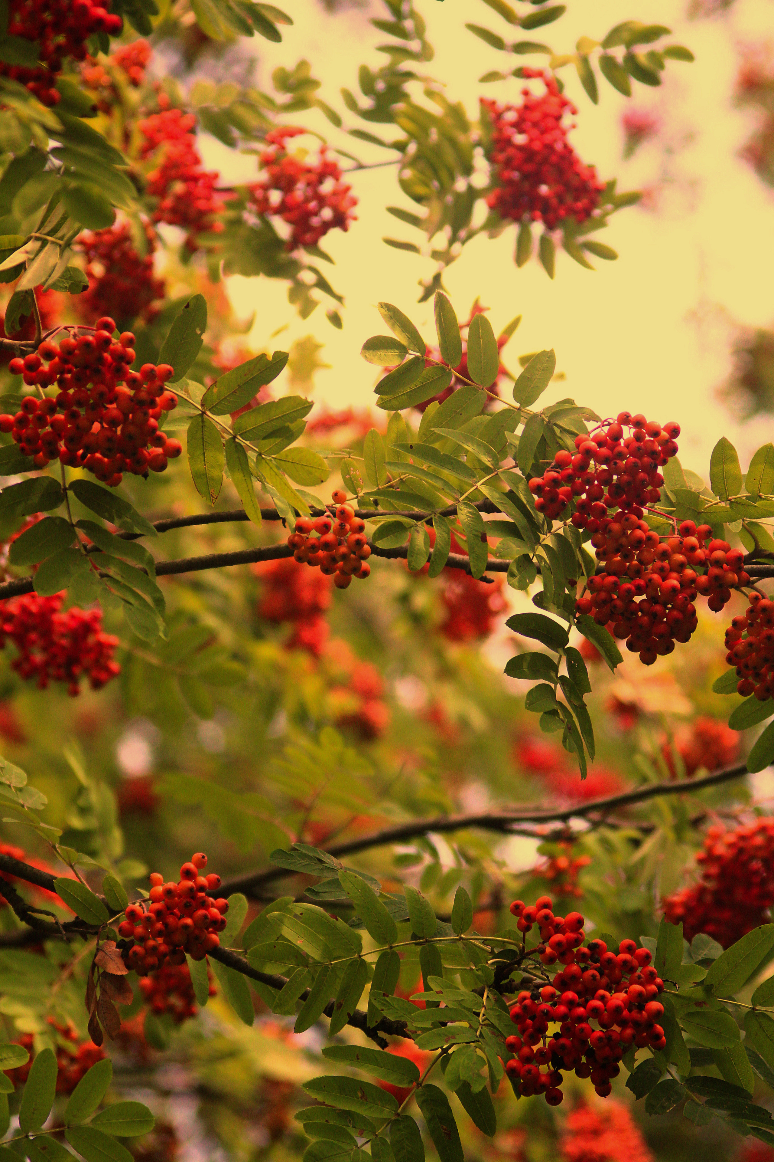 Природное. Обо всём