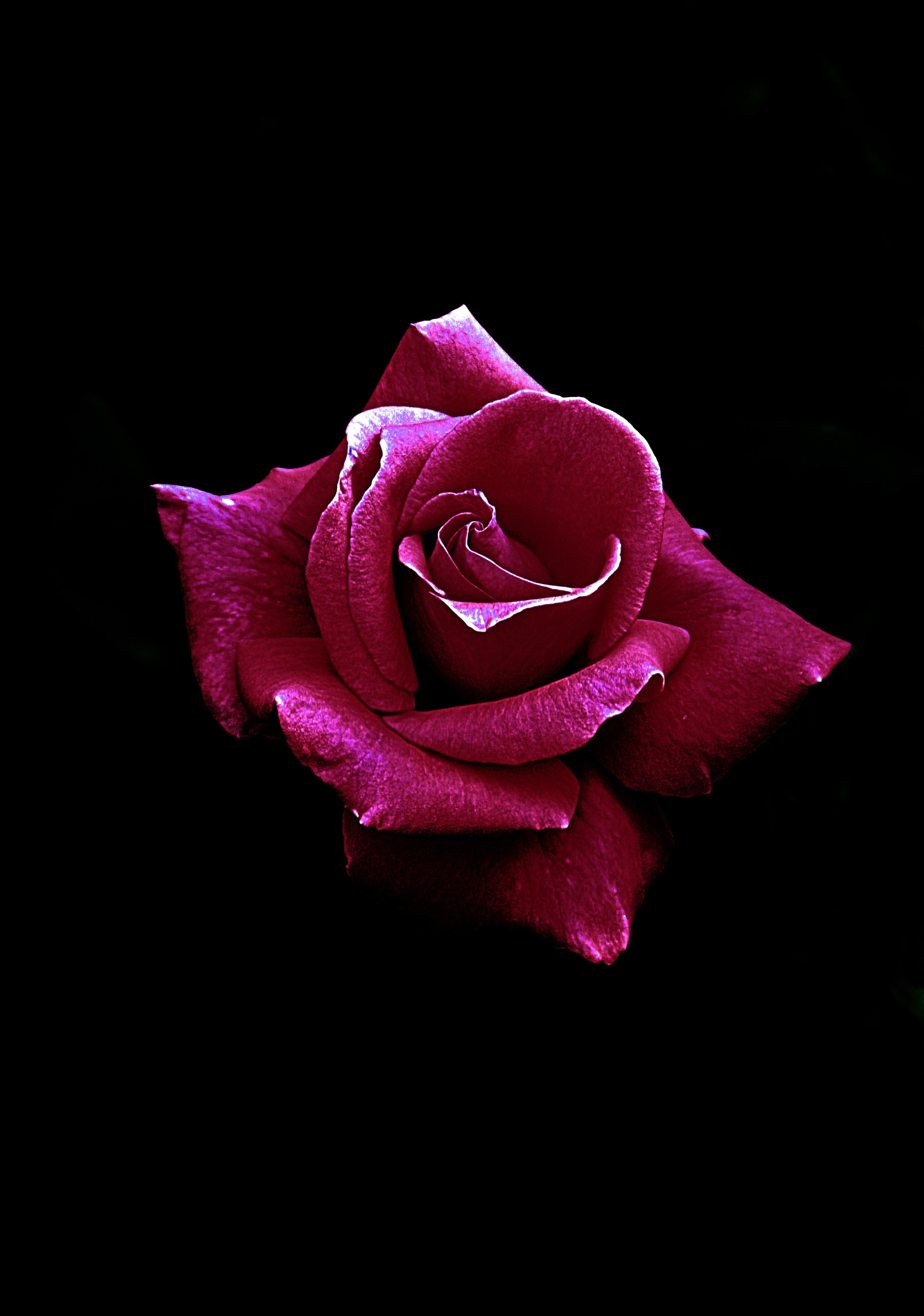 Природное. Обо всём