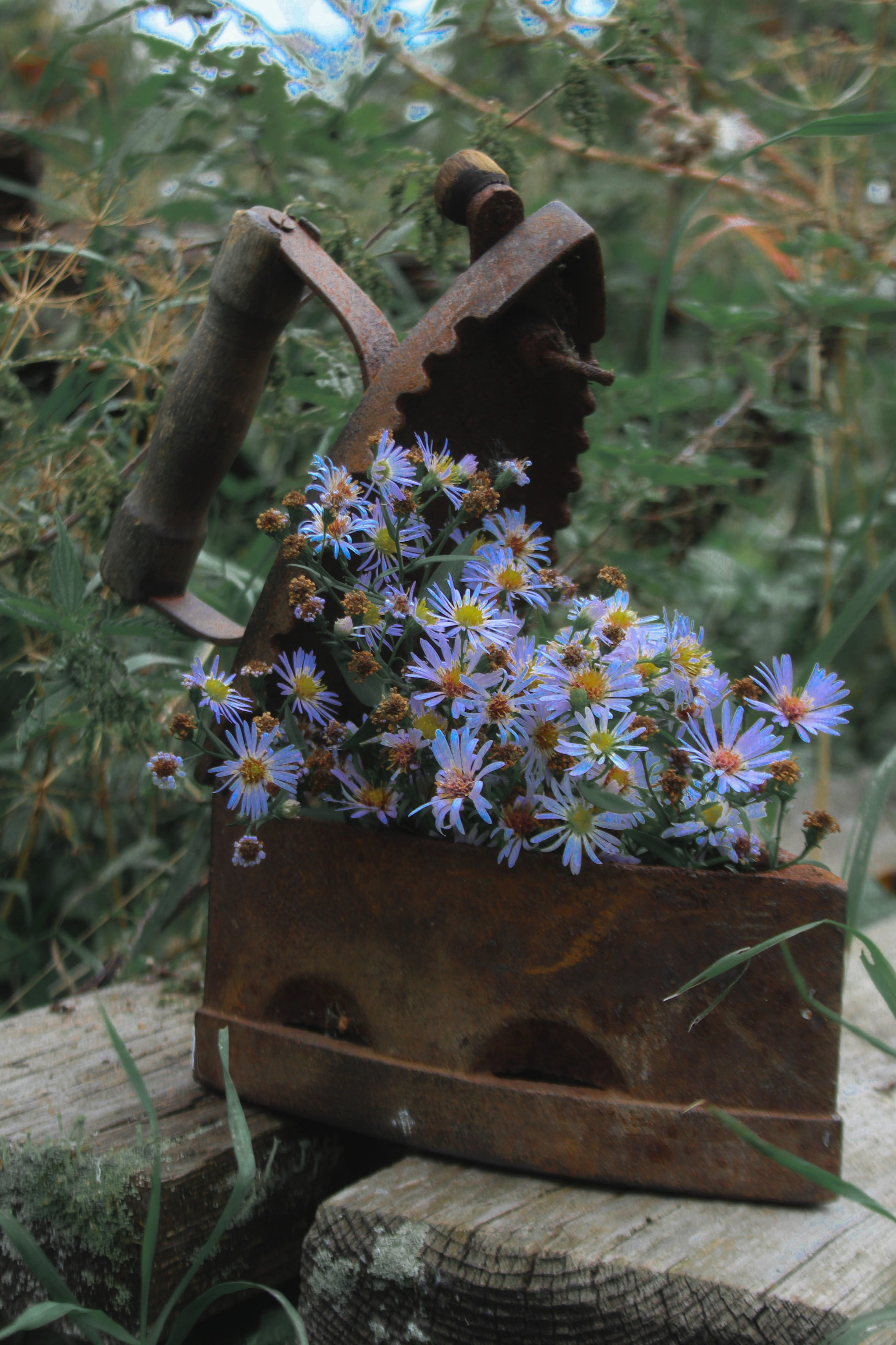 Природное. Обо всём