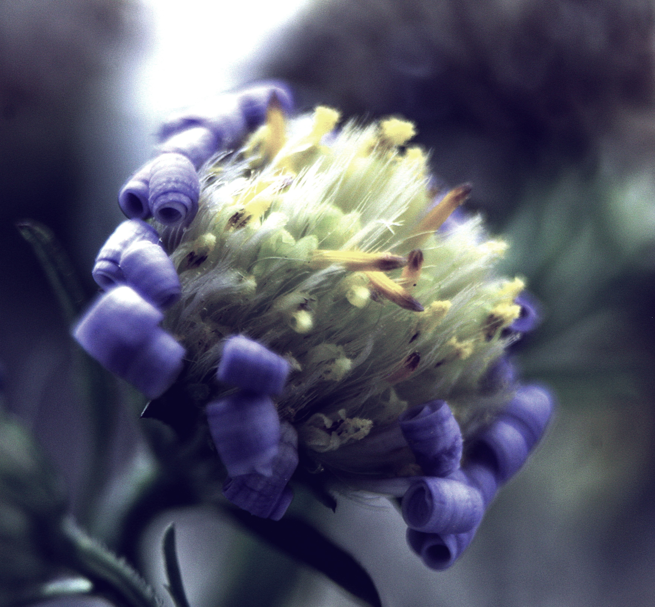 Макро. Обо всём