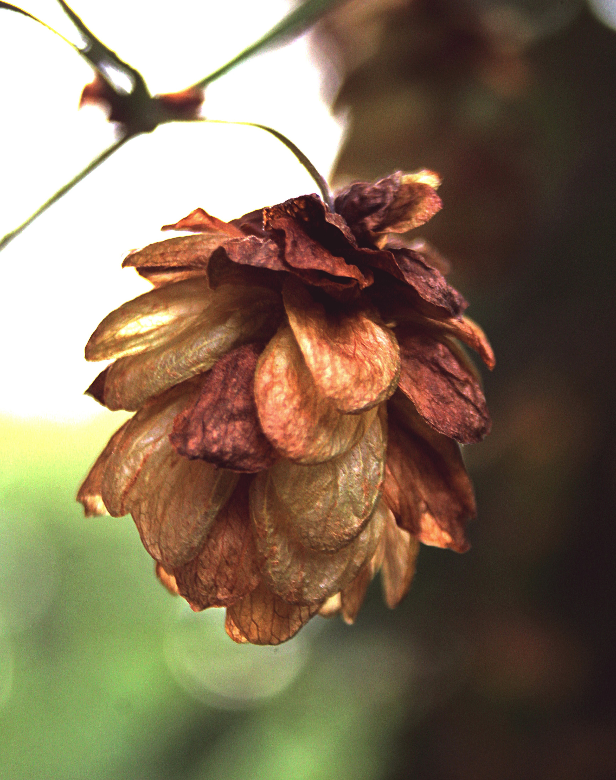 Макро. Обо всём