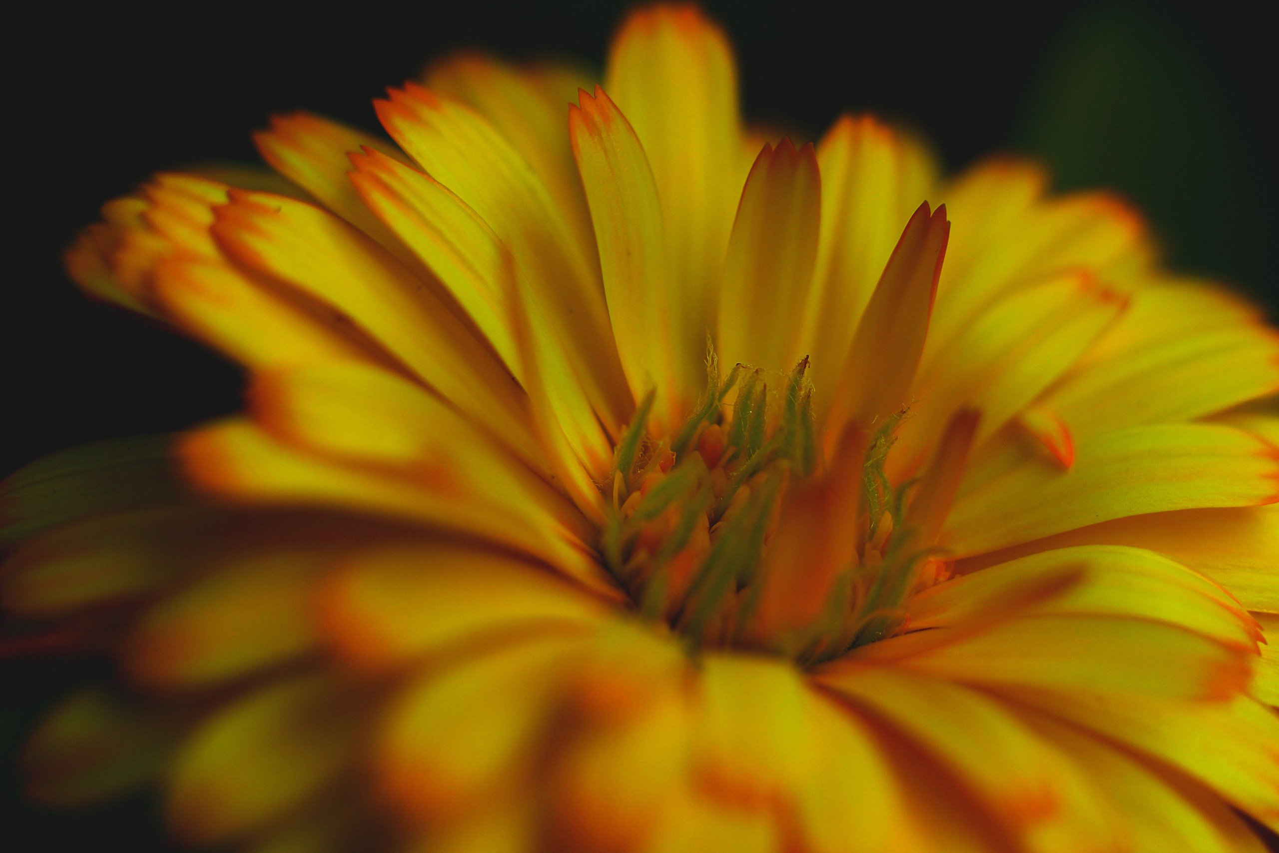 Макро. Обо всём