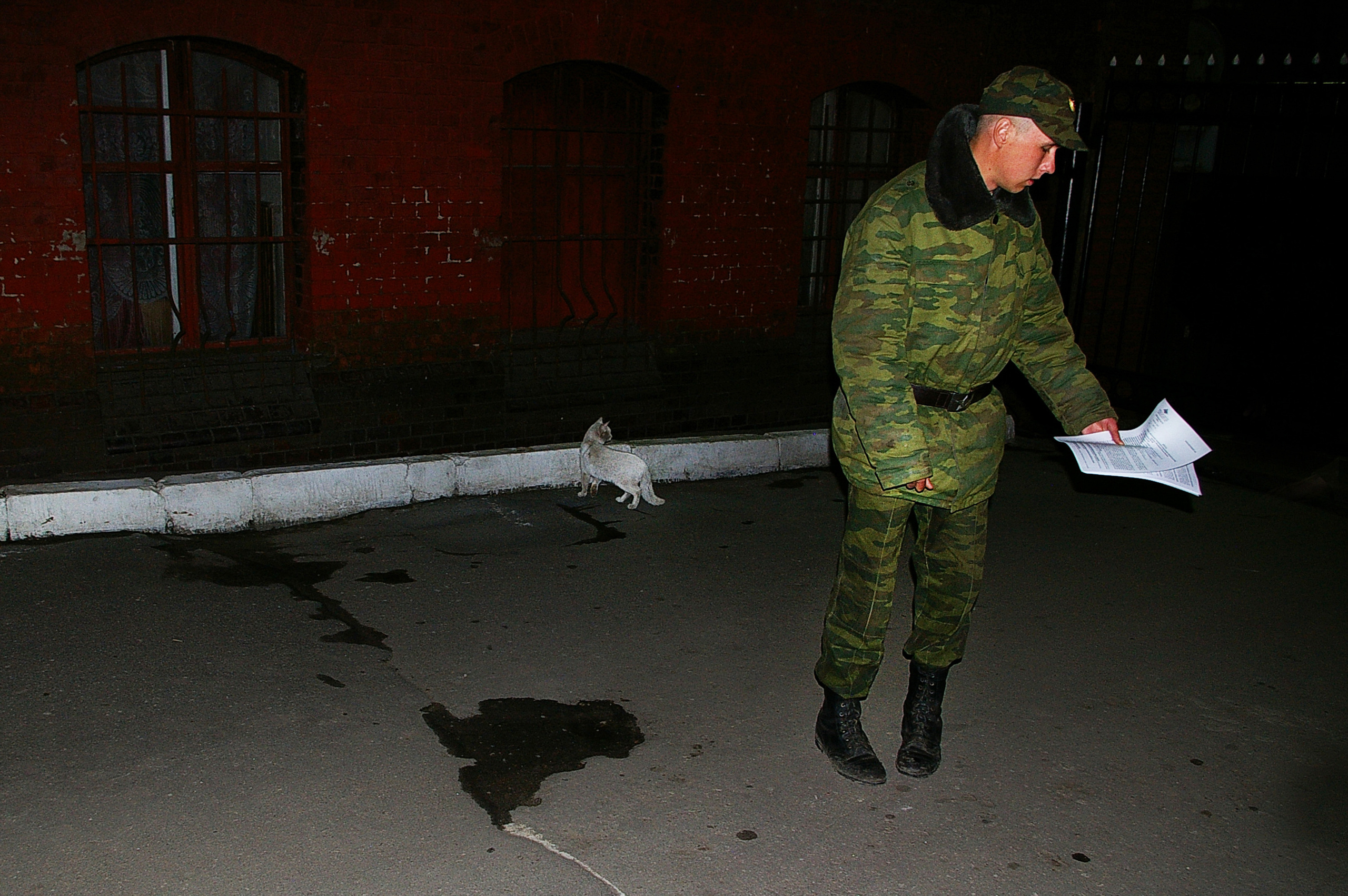 Year. Artist Denis Tikhomirov