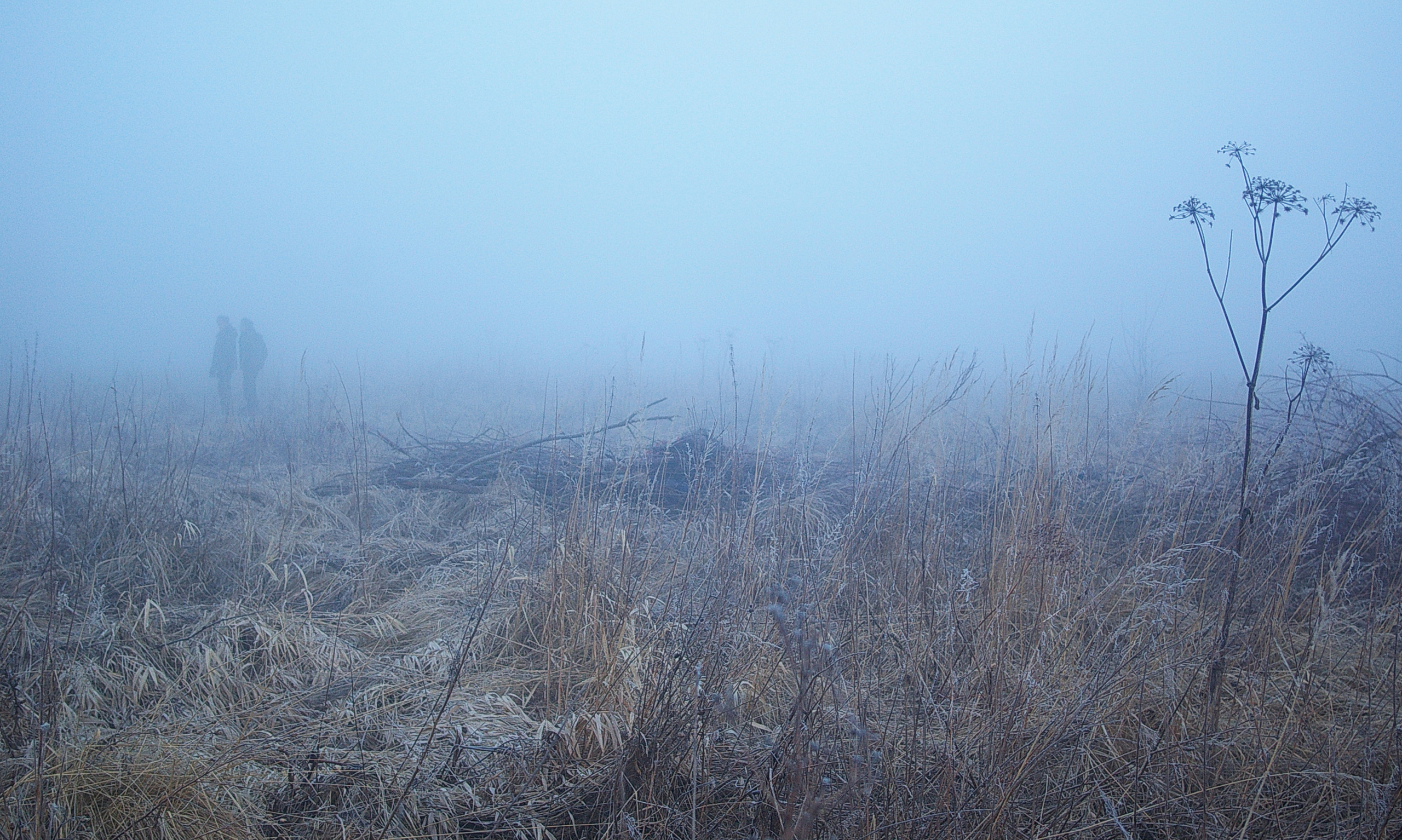 Year. Artist Denis Tikhomirov