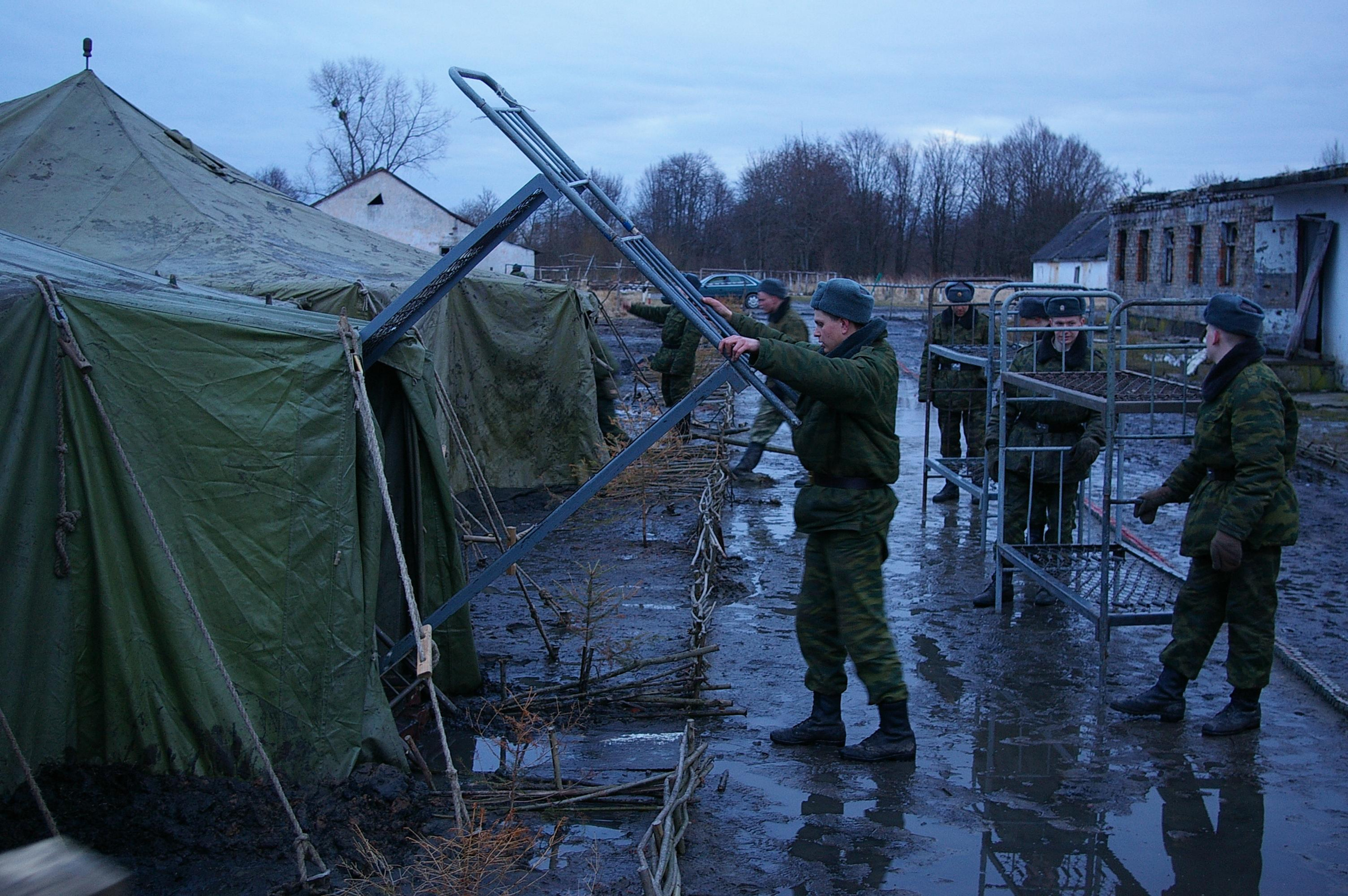 Year. Artist Denis Tikhomirov