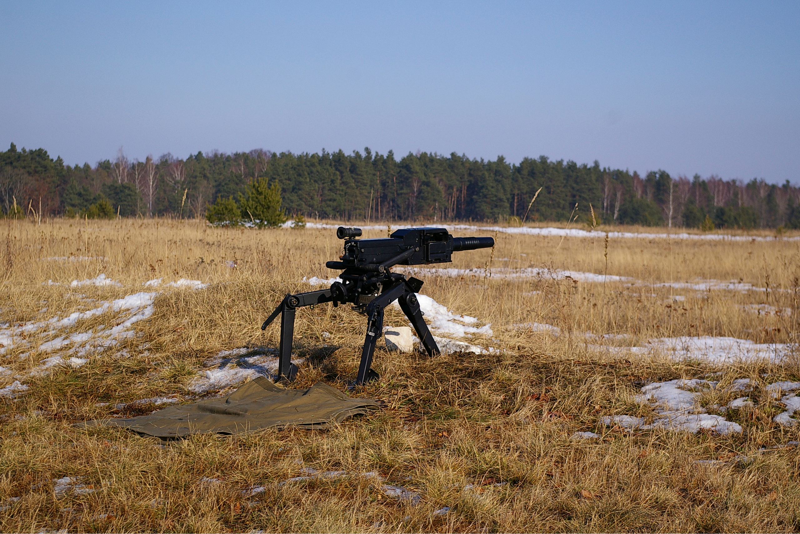 Year. Artist Denis Tikhomirov