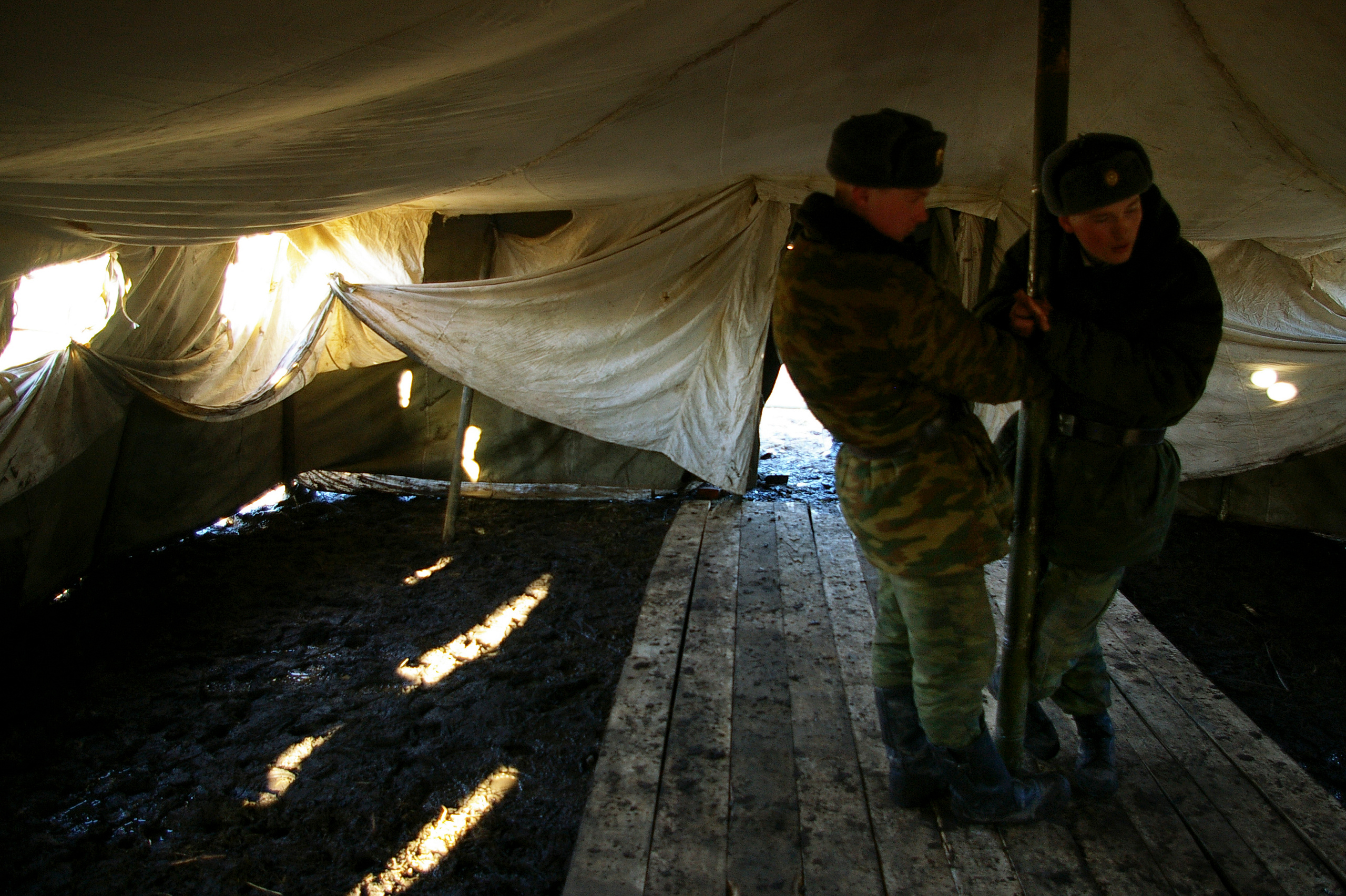 Year. Artist Denis Tikhomirov