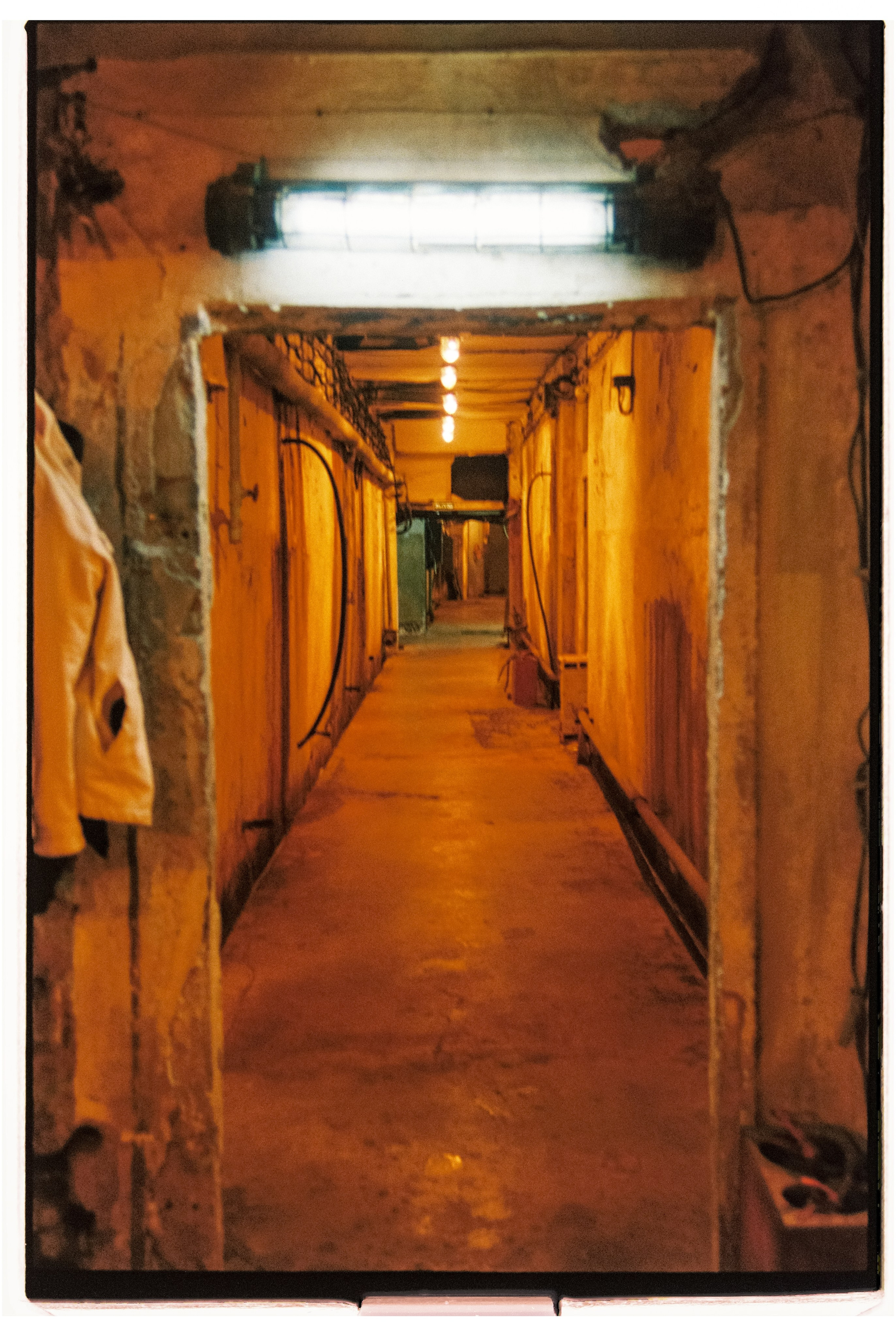 Plasticine. ANNA — PHOTOGRAPHER