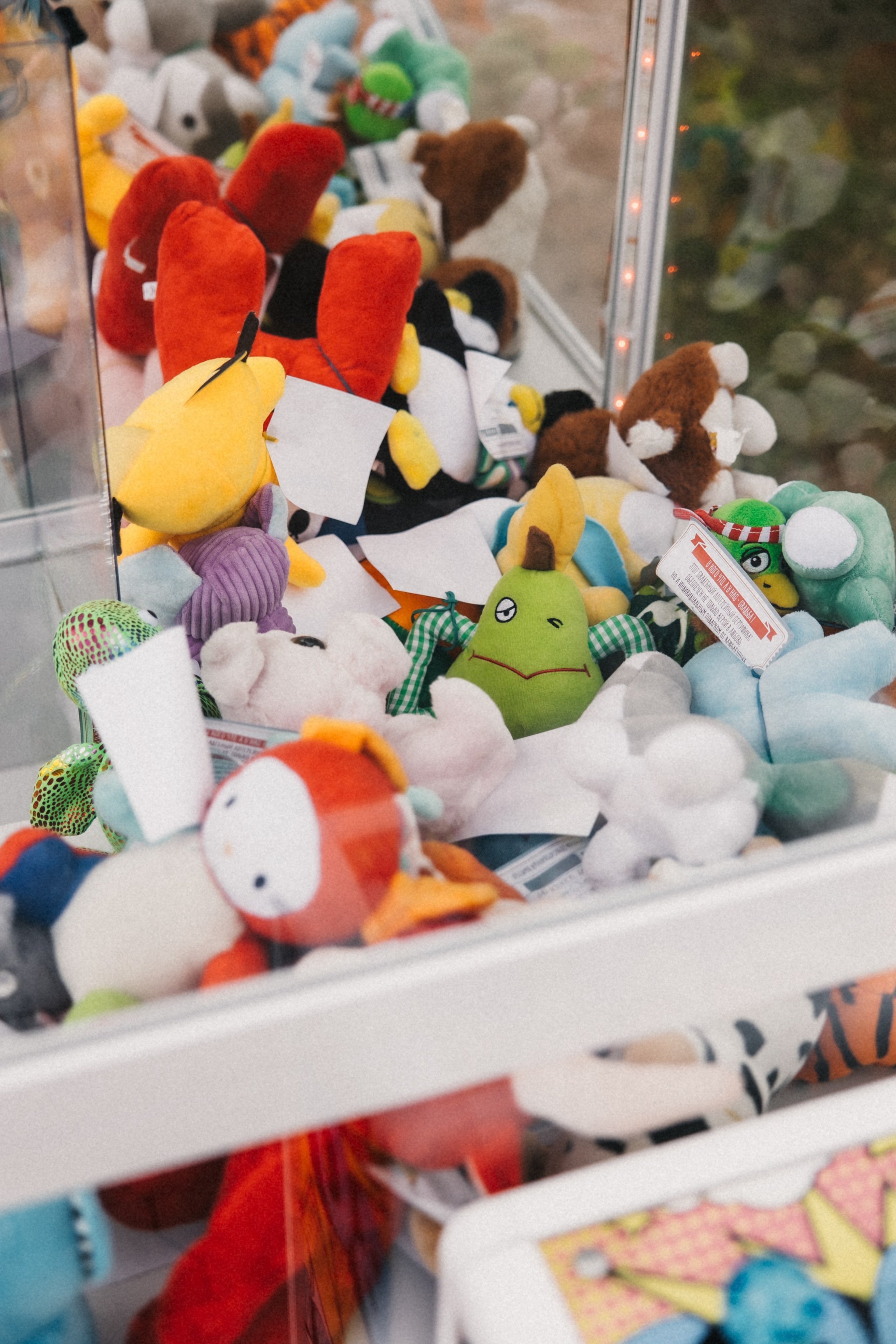 Влад и Вера. Фотограф Москва, Санкт-Петербург, Абакан