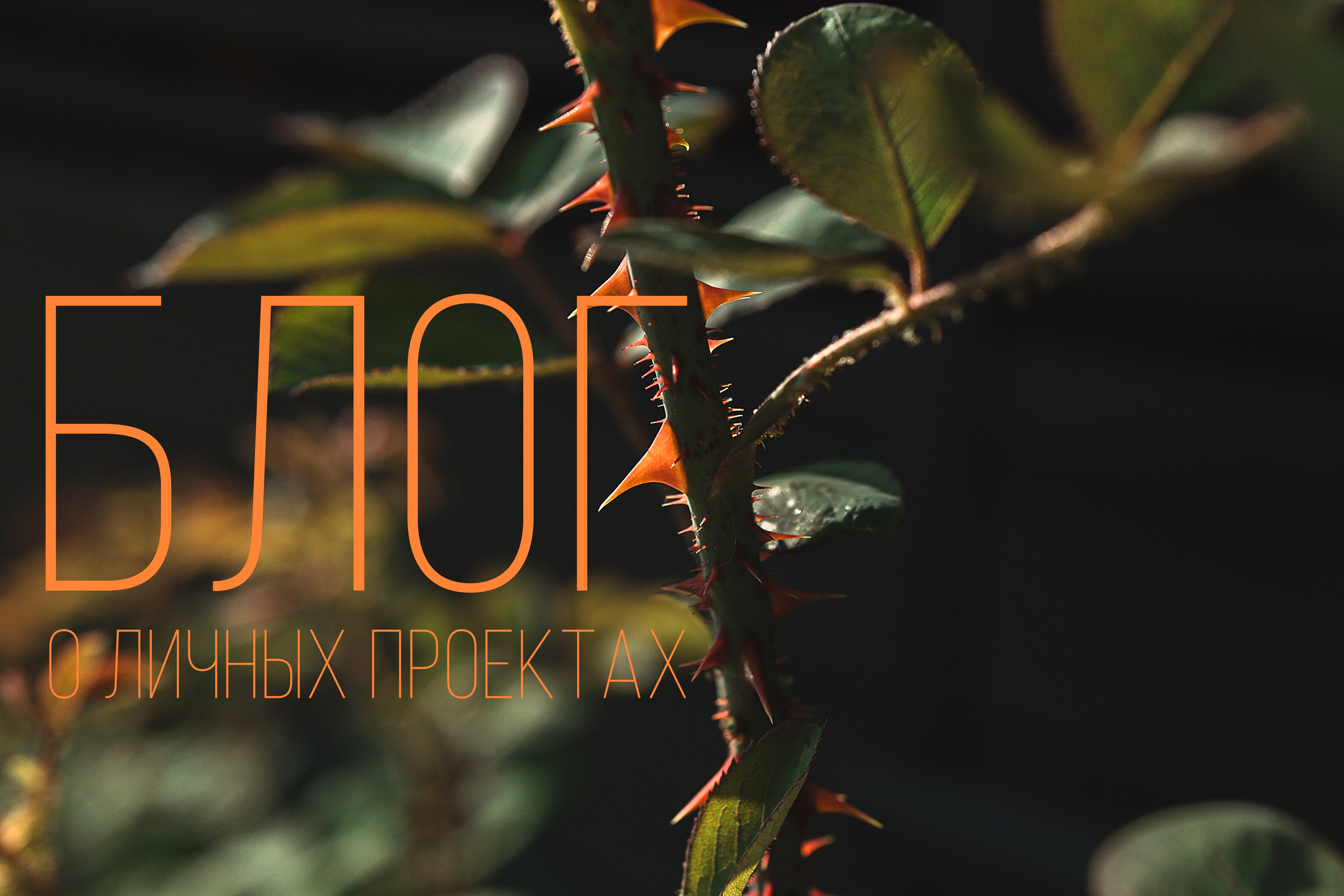 Блог. Коммерческий фотограф в Москве Билуши Василиса