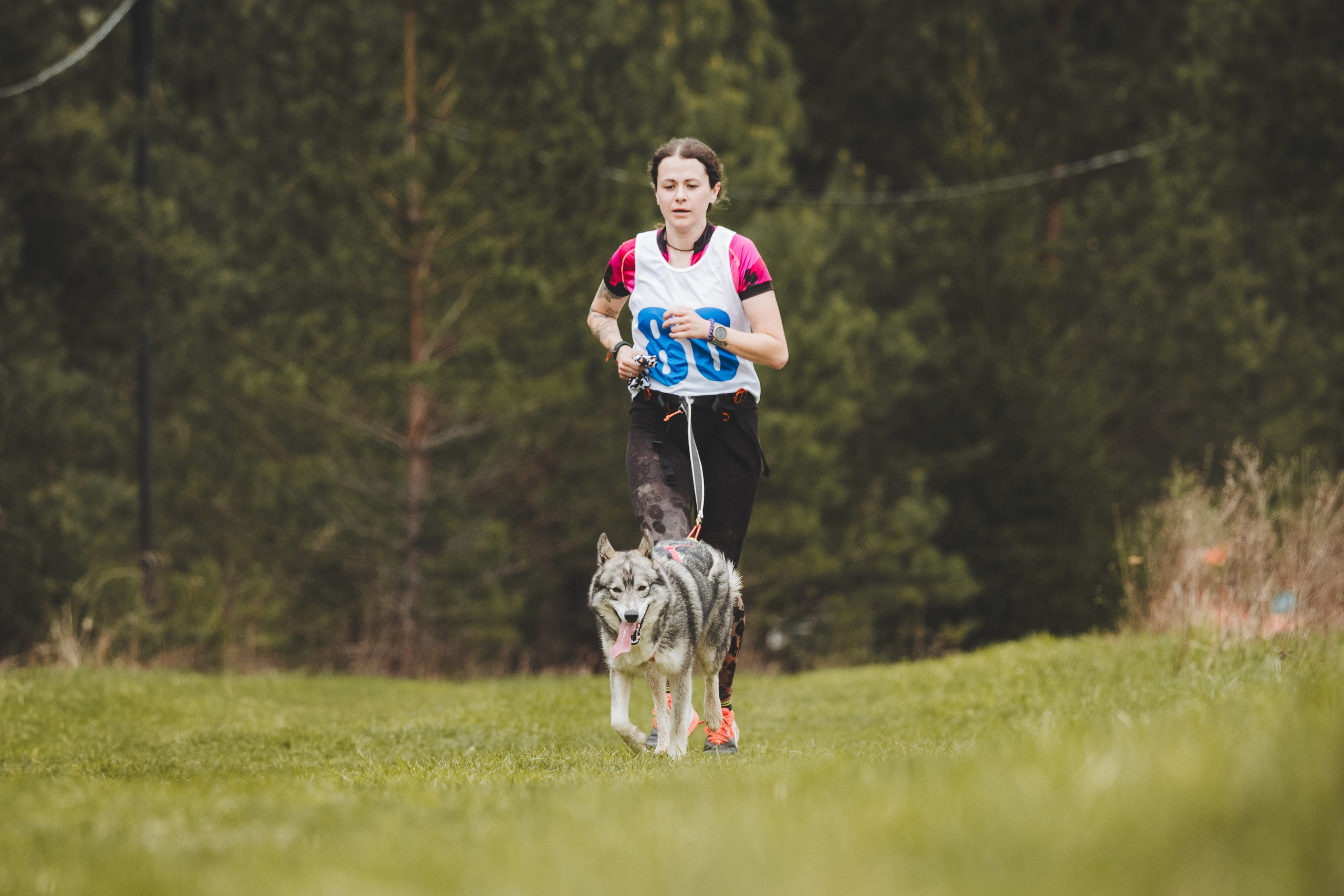 Почёвинский драйдленд. Фотограф Ирина Астор