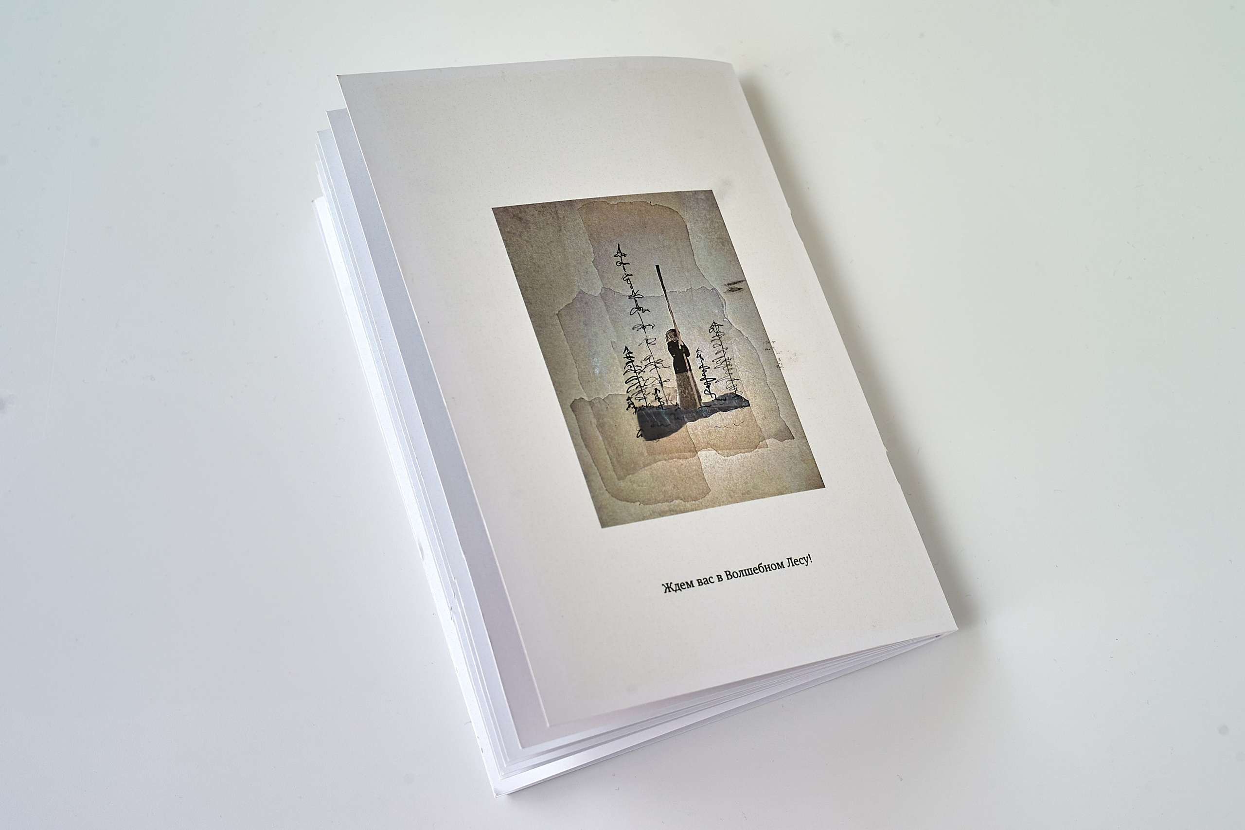 Guide to the Magical Forest