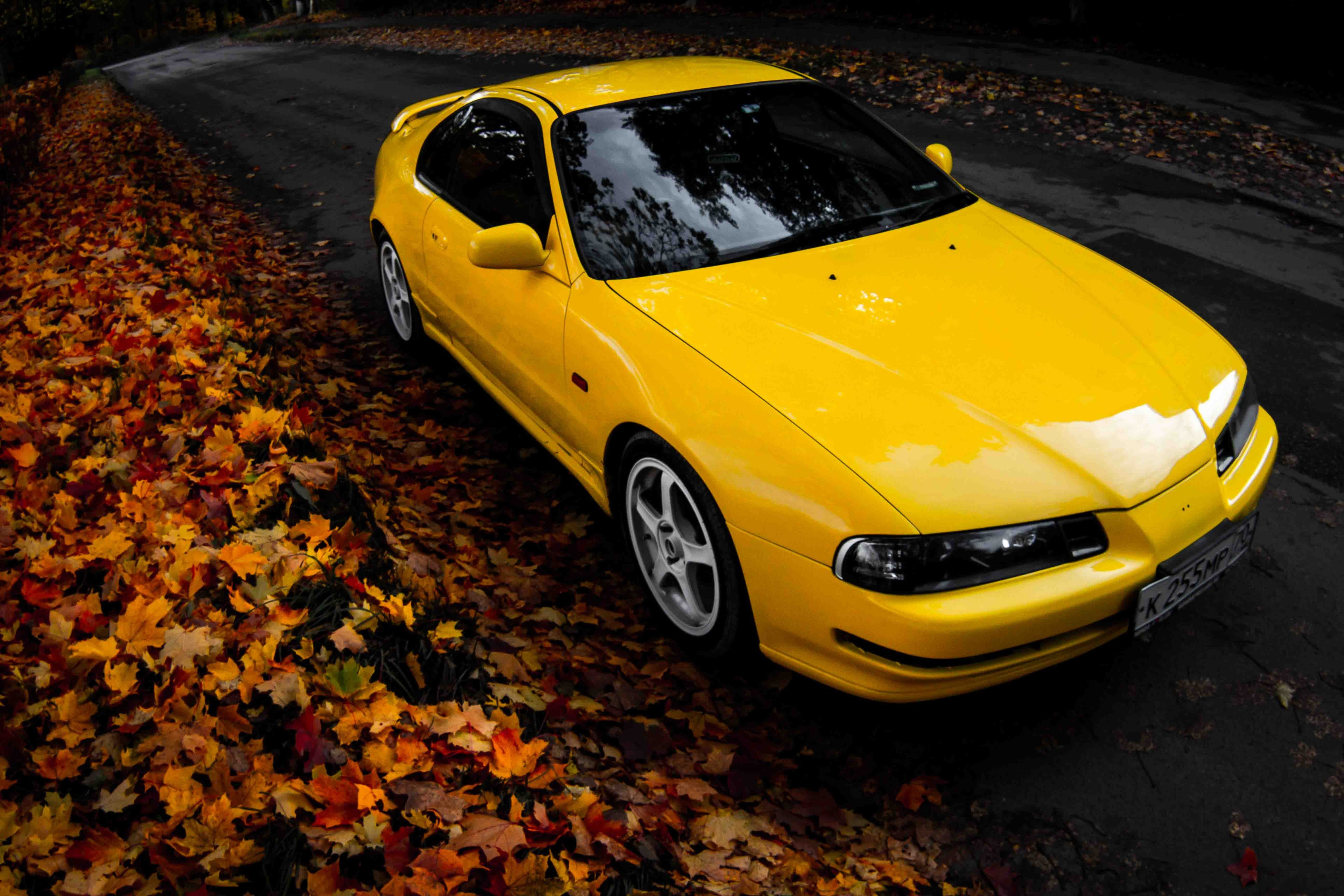 Осеннее настроение. Александр Попов