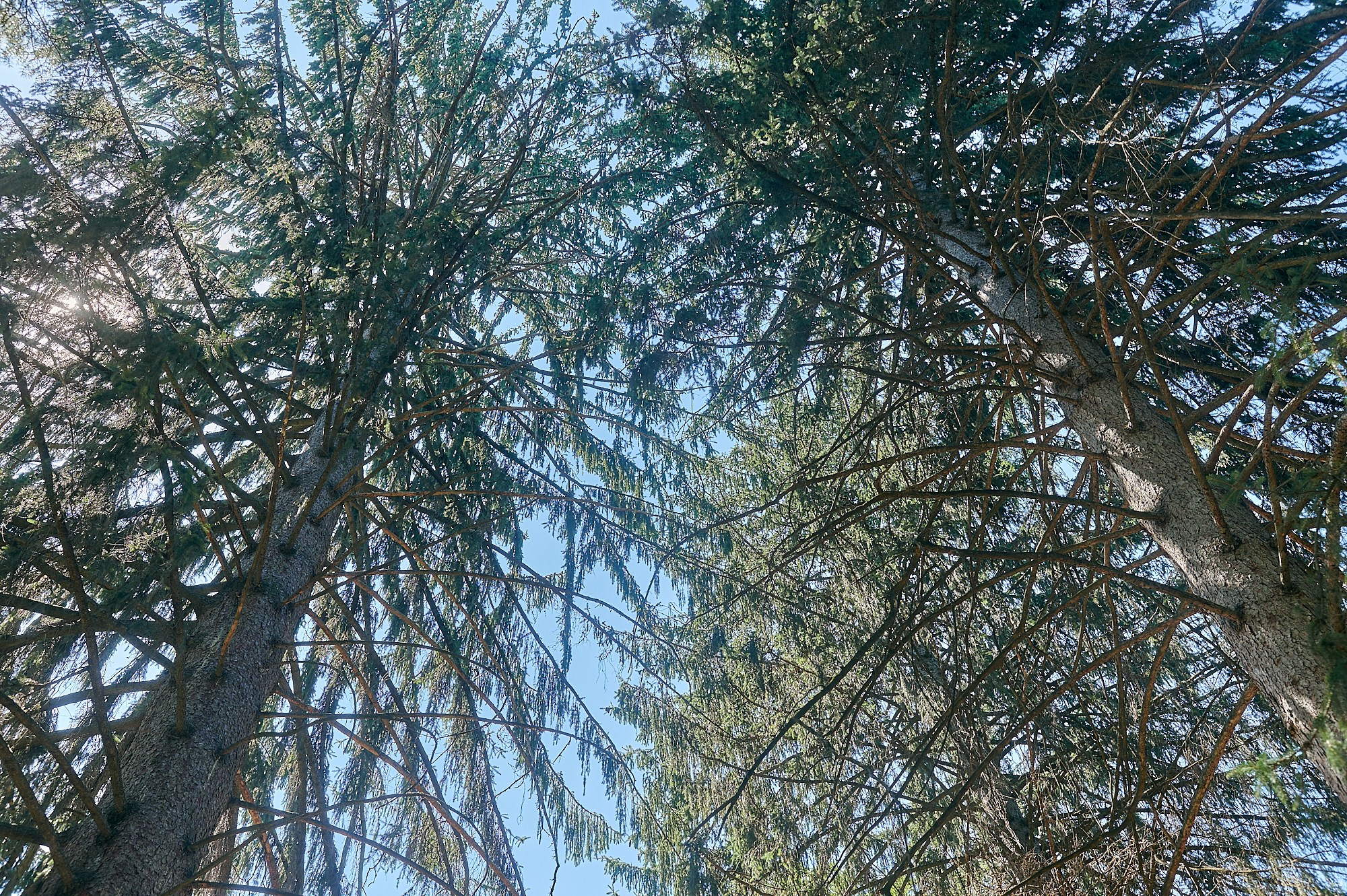 Кисловодск, Россия. Август 2024. Фотографии отовсюду и обо всем