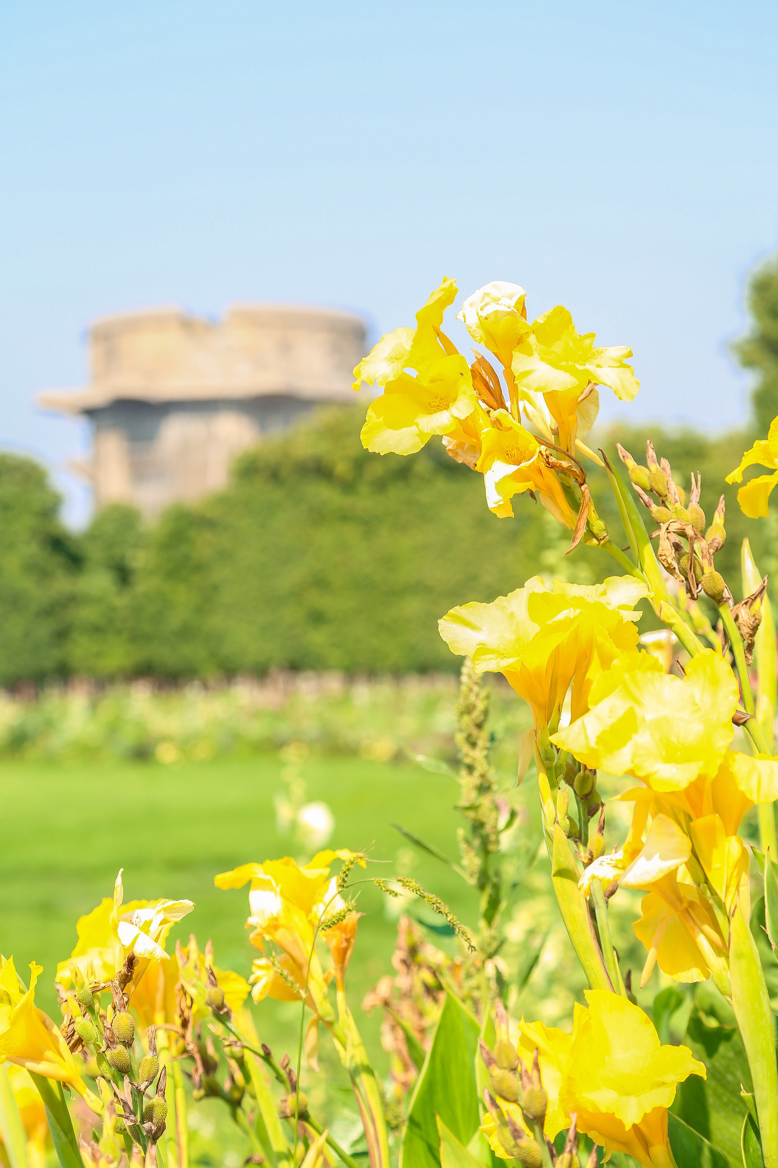Австрия: Вена — Ратуша и Парламент, Пратер, Аугартен. Дарья Письменюк / Darya Leitstern — фотограф, музыкант, журналист, путешественник
