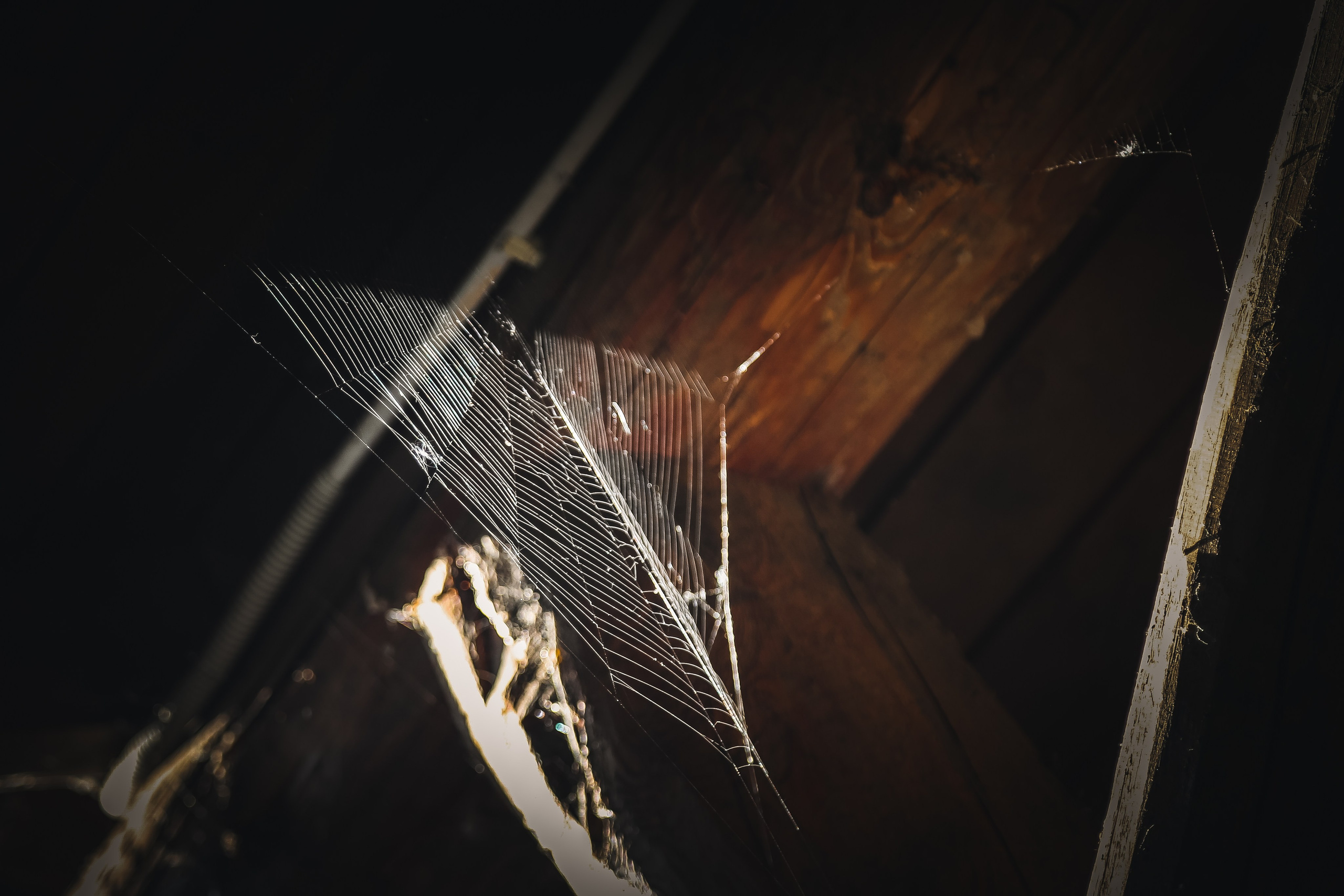 Ростов Великий. Дарья Письменюк / Darya Leitstern — фотограф, музыкант, журналист, путешественник