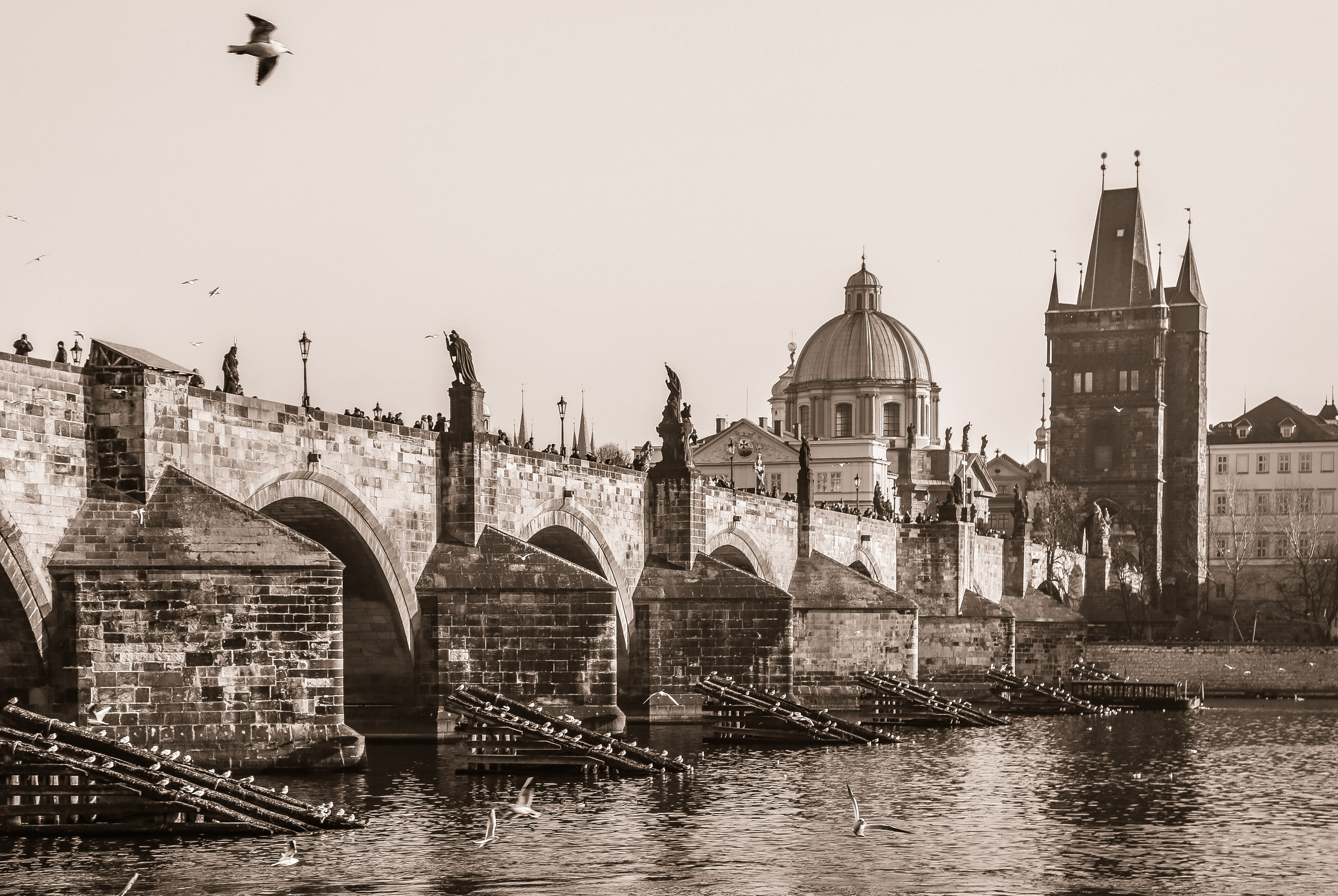 Чехия: Прага. Дарья Письменюк / Darya Leitstern — фотограф, музыкант, журналист, путешественник