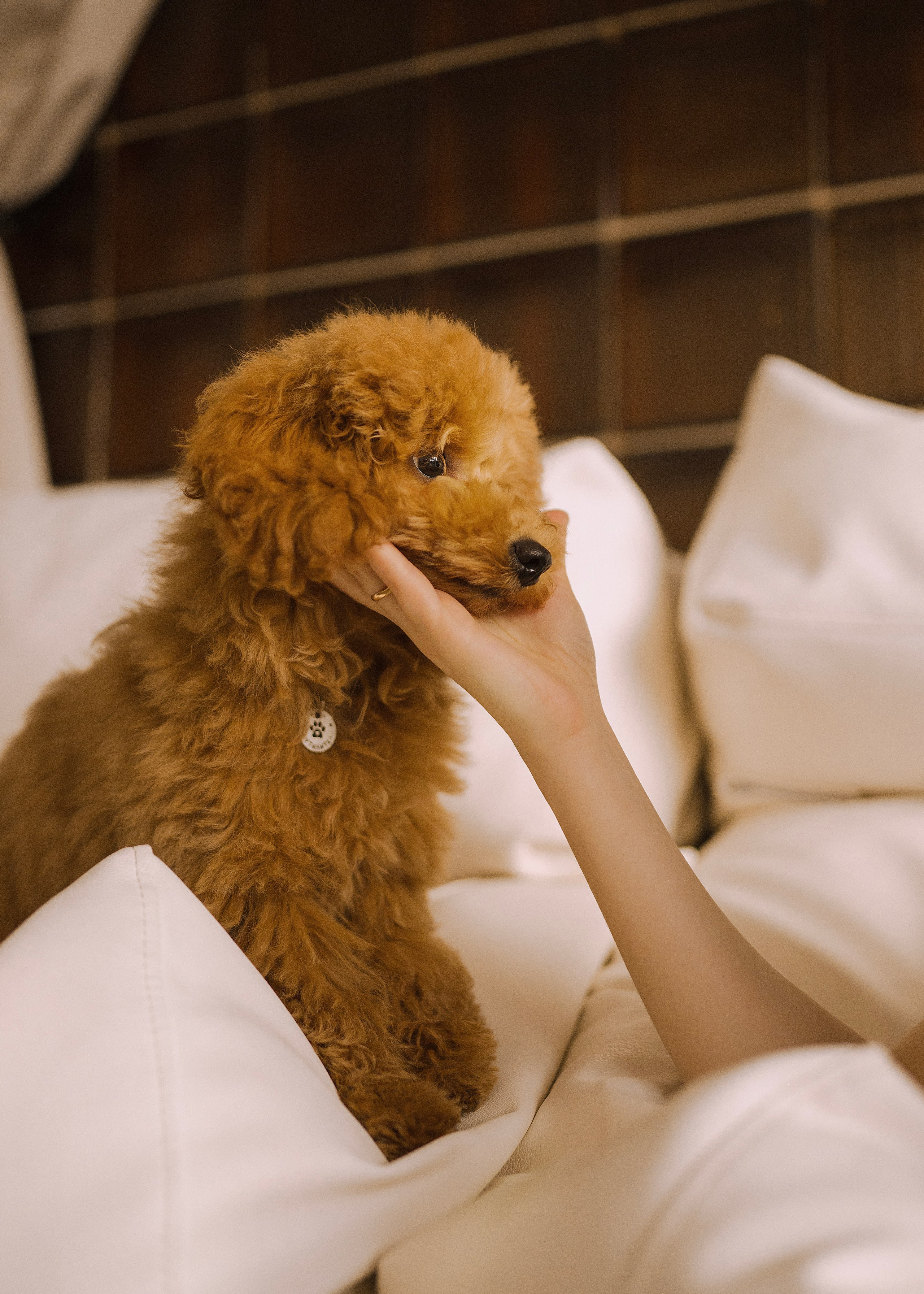 Утилита. Фотограф- анималист Александра Матвеева