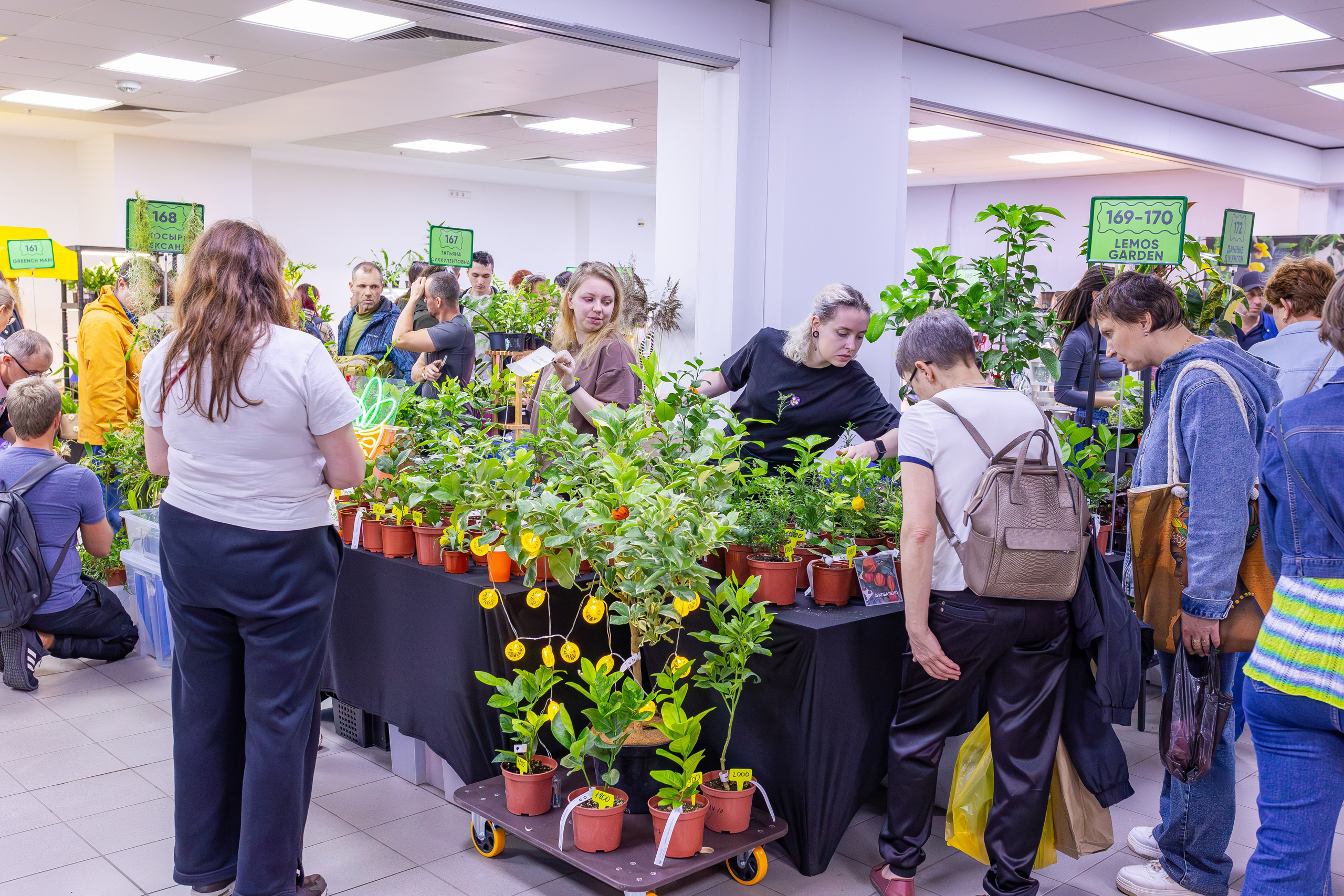 Орхидиум сентябрь 2025. Александра Куликова фотограф, Москва