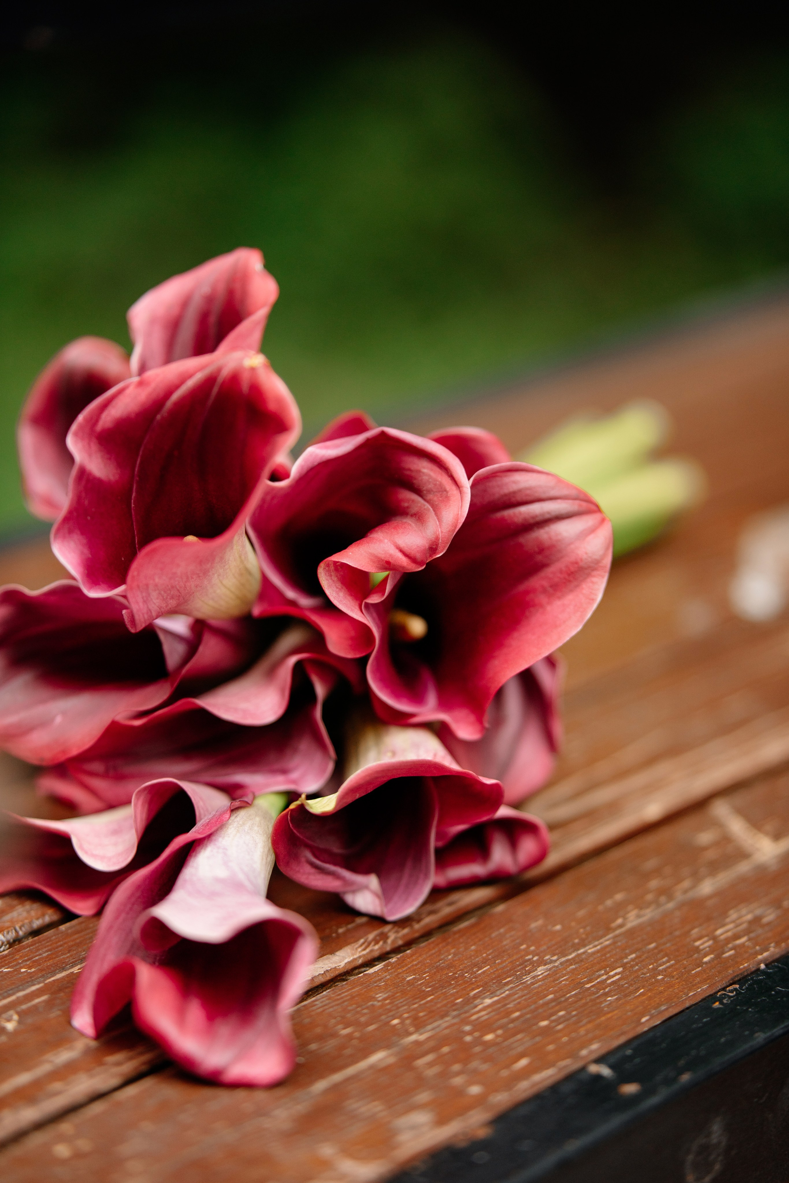 Елисей и Виктория. Свадебный и репортажный фотограф в Москве Андрей Вайман