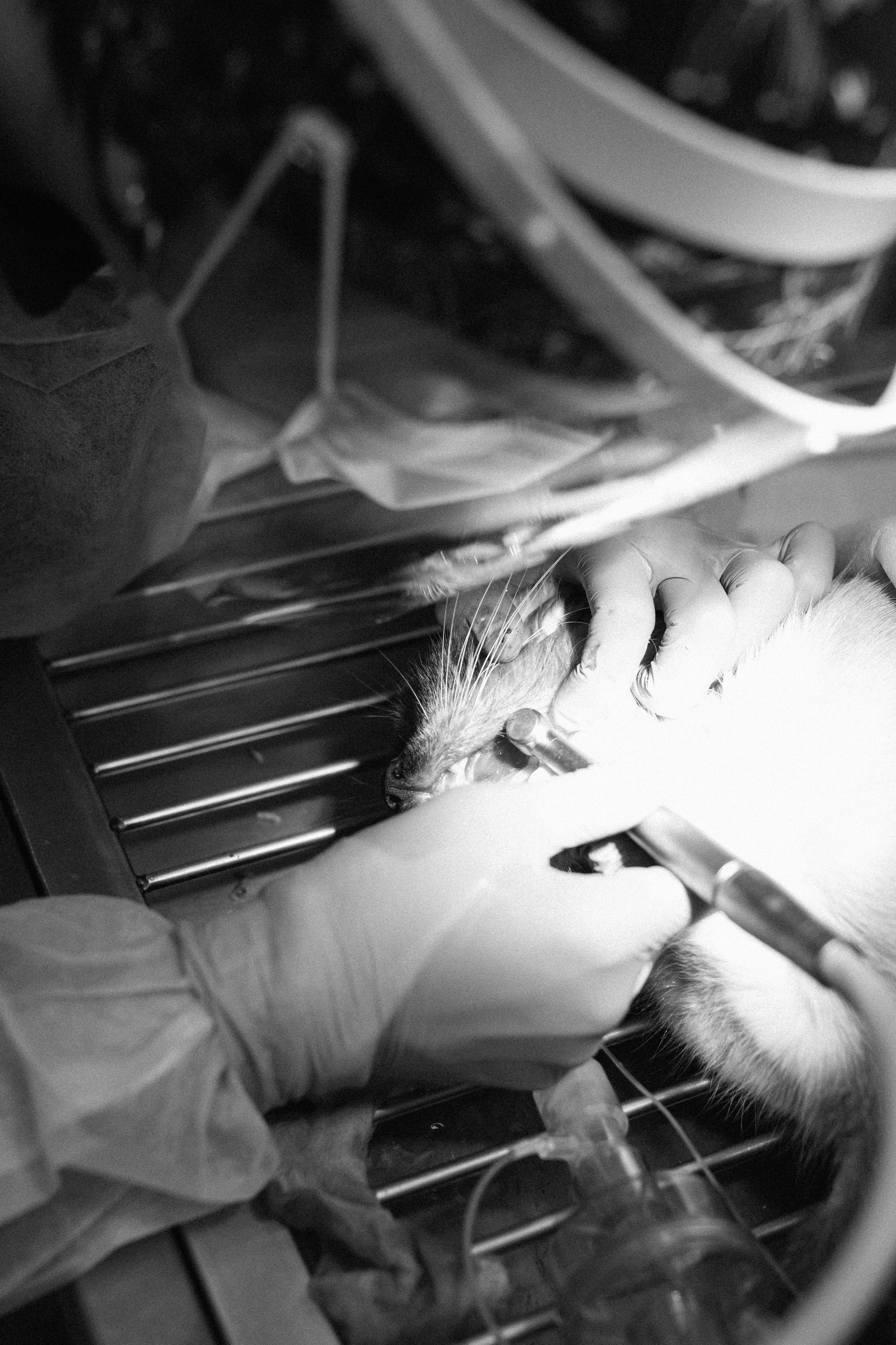 Контент съёмка. Семейный и детский фотограф в Новосибирске Алёна Малахова