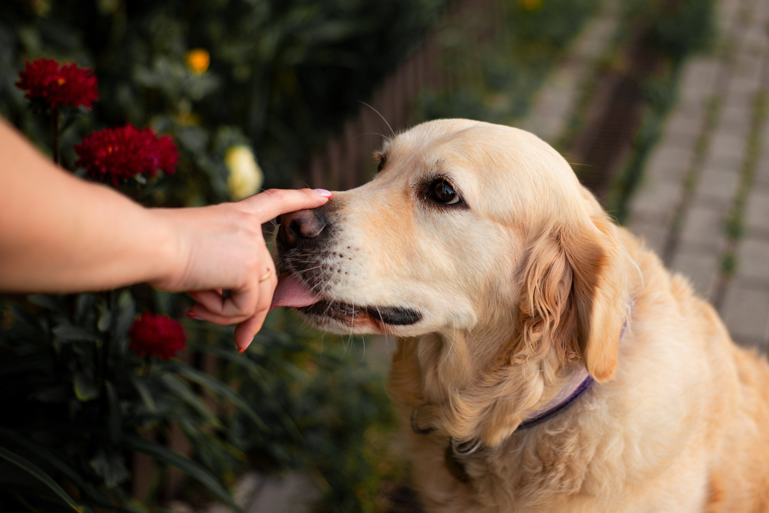 Юля и Мэй. Фотограф-анималист Мария Баркевич | Москва