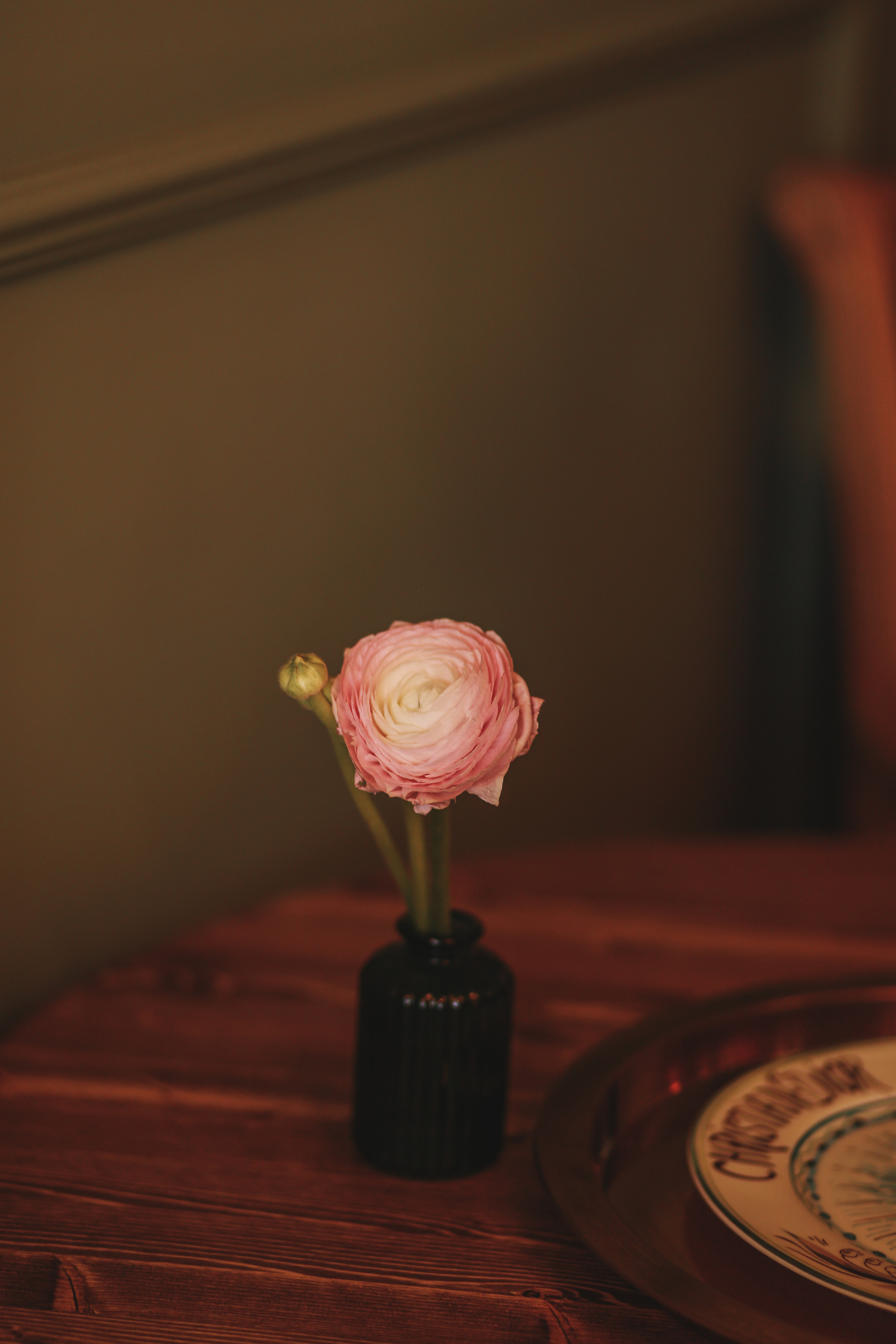 Съемка в кафе Gucci. Иванова Ирина Свадебный и семейный фотограф г. Уфа