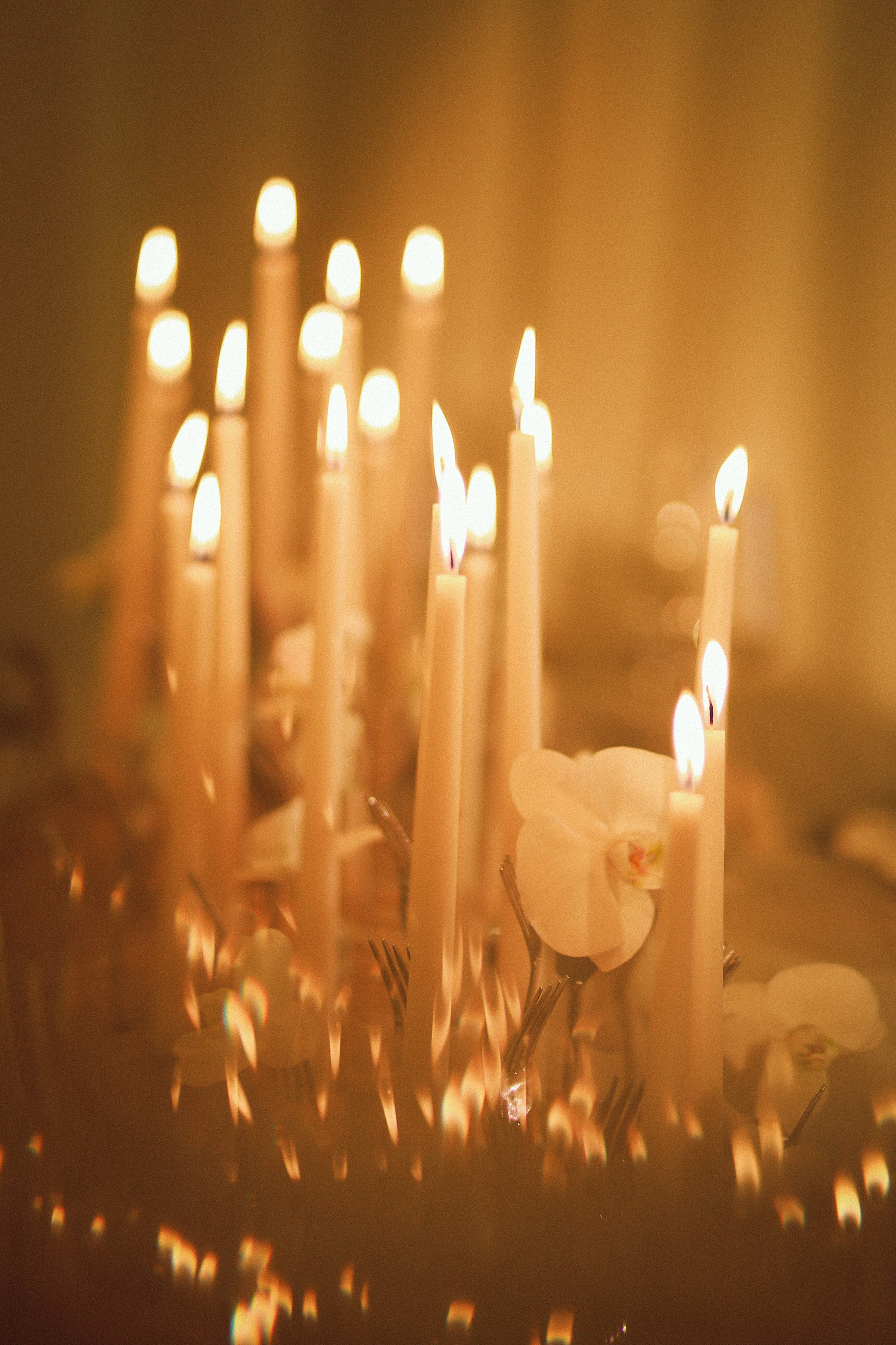 Свадебная съемка, оргазм для глаз). Иванова Ирина Свадебный и семейный фотограф г. Уфа