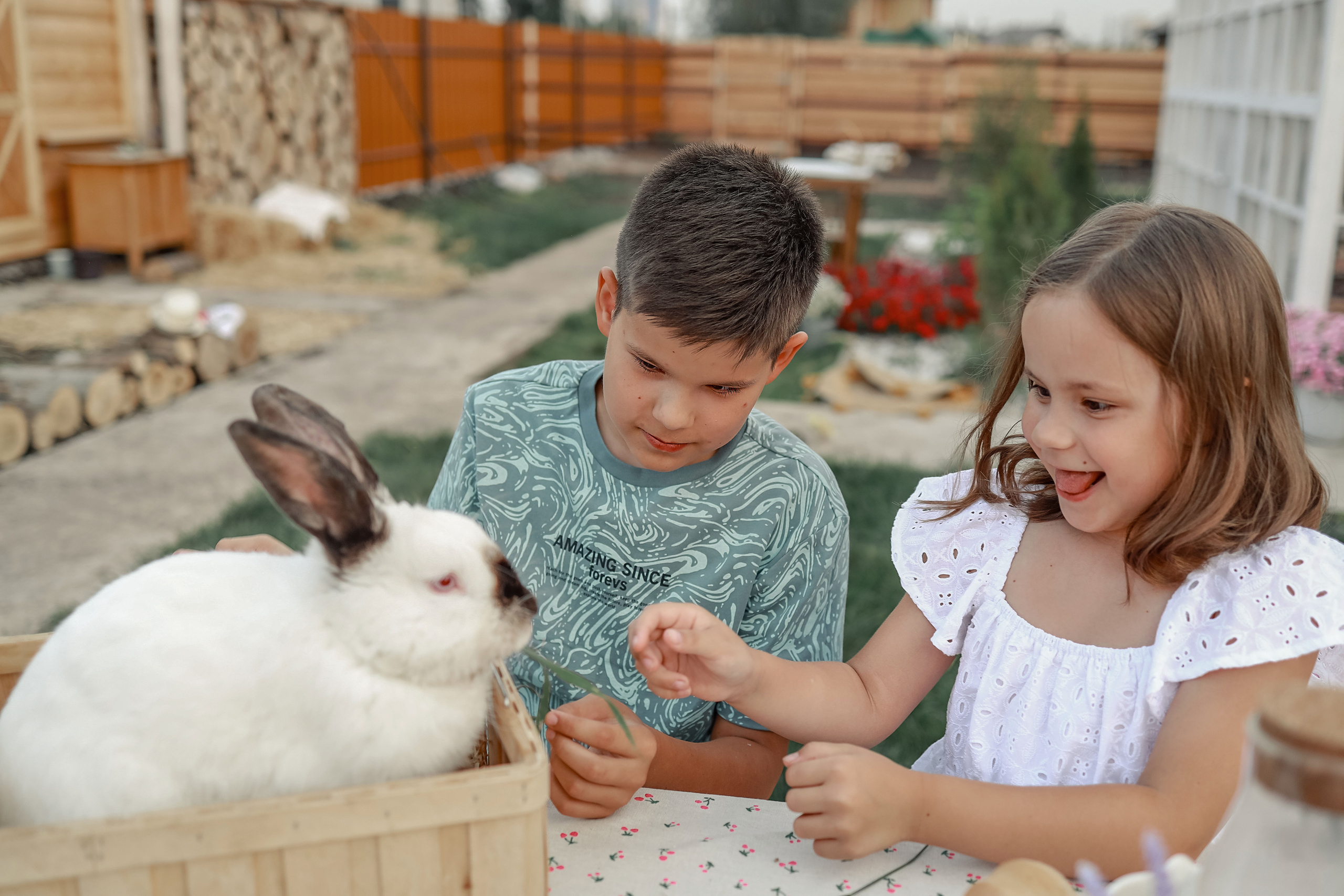 Съемка с гусятами, кроликом. Иванова Ирина Свадебный и семейный фотограф г. Уфа