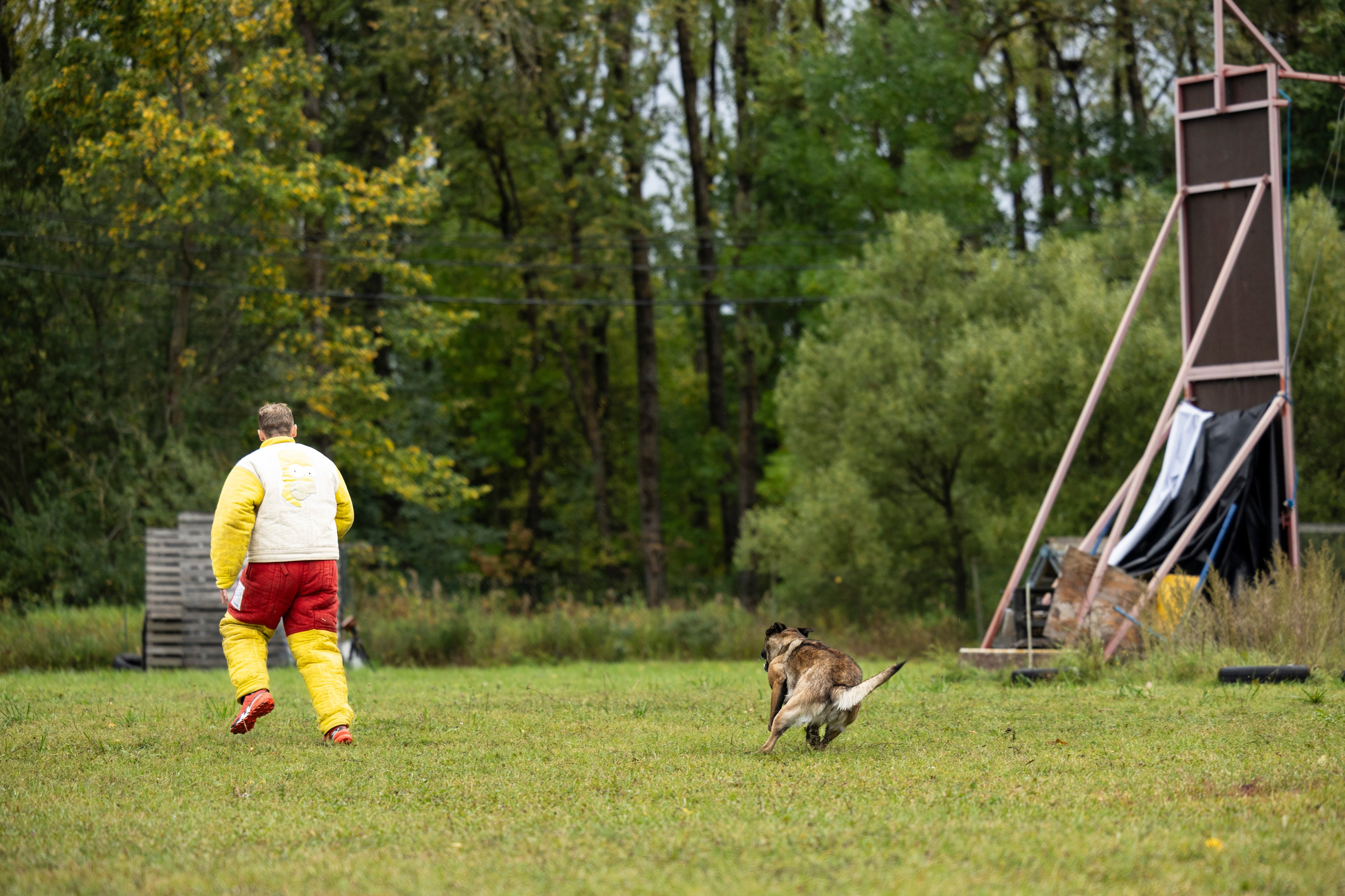 Испытания по Мондьорингу г. Пушкин. Фотограф-анималист Анна Маринич