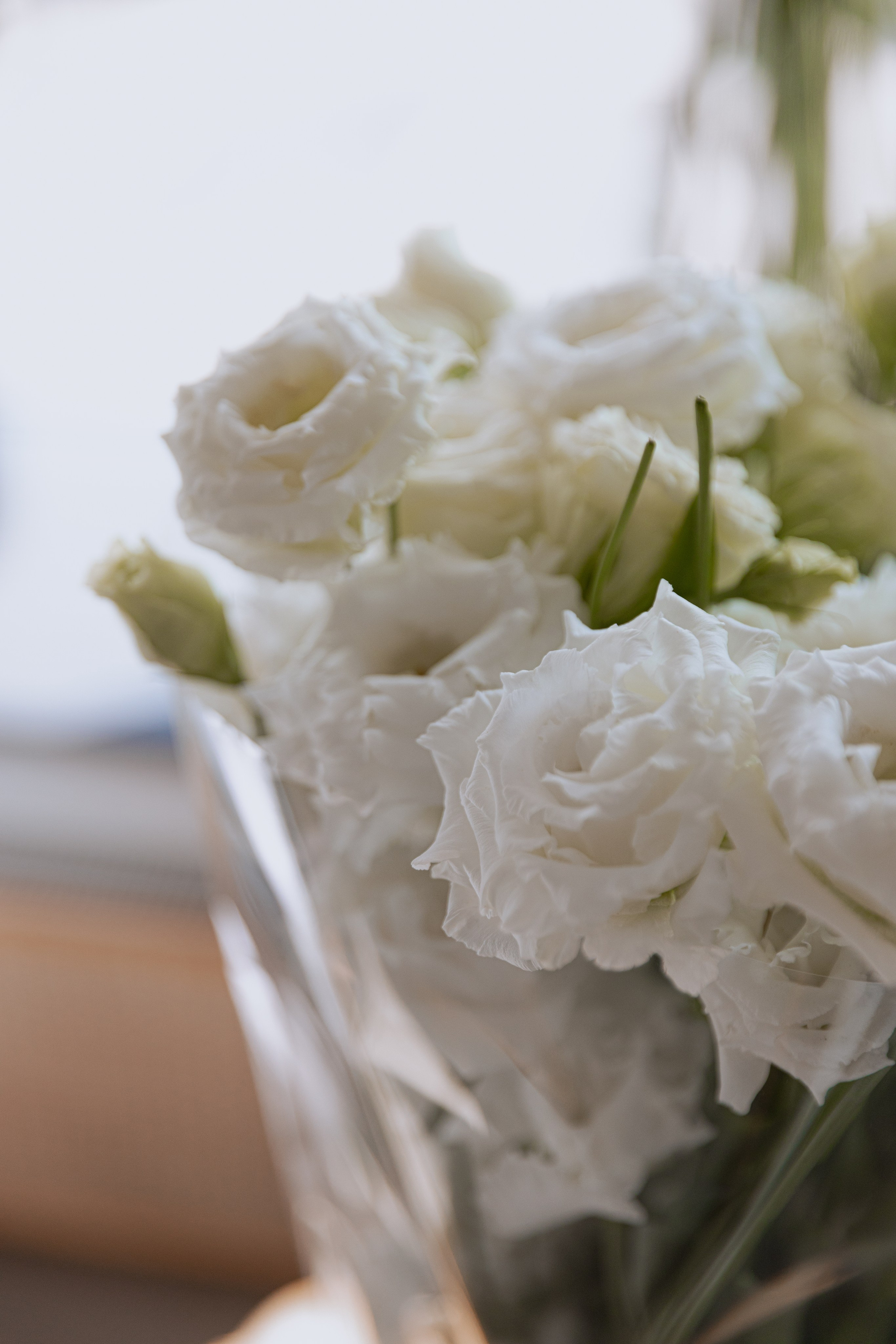 Женский клуб. Фотограф Анастасия Пинчук