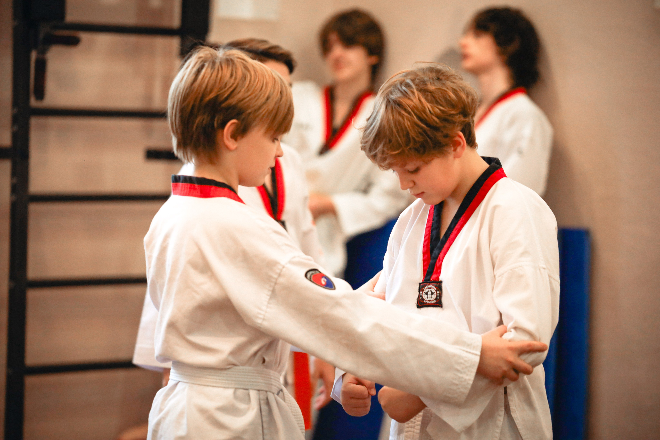 Тхэквондо Аттестация. Фотограф в Москве Бастракова Юлия