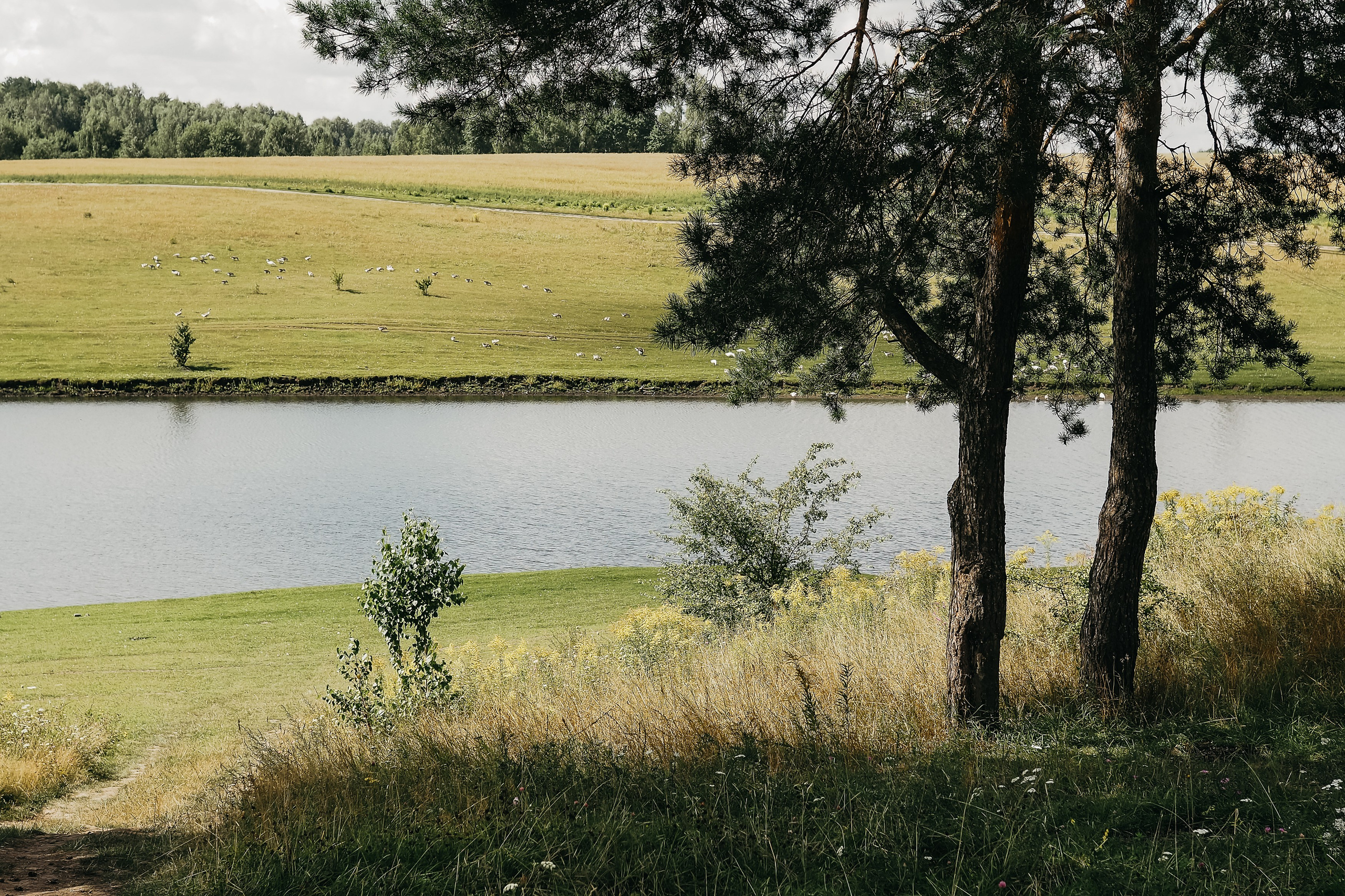 Толмачевский пруд. Фотограф Павлова Светлана / Брянск /