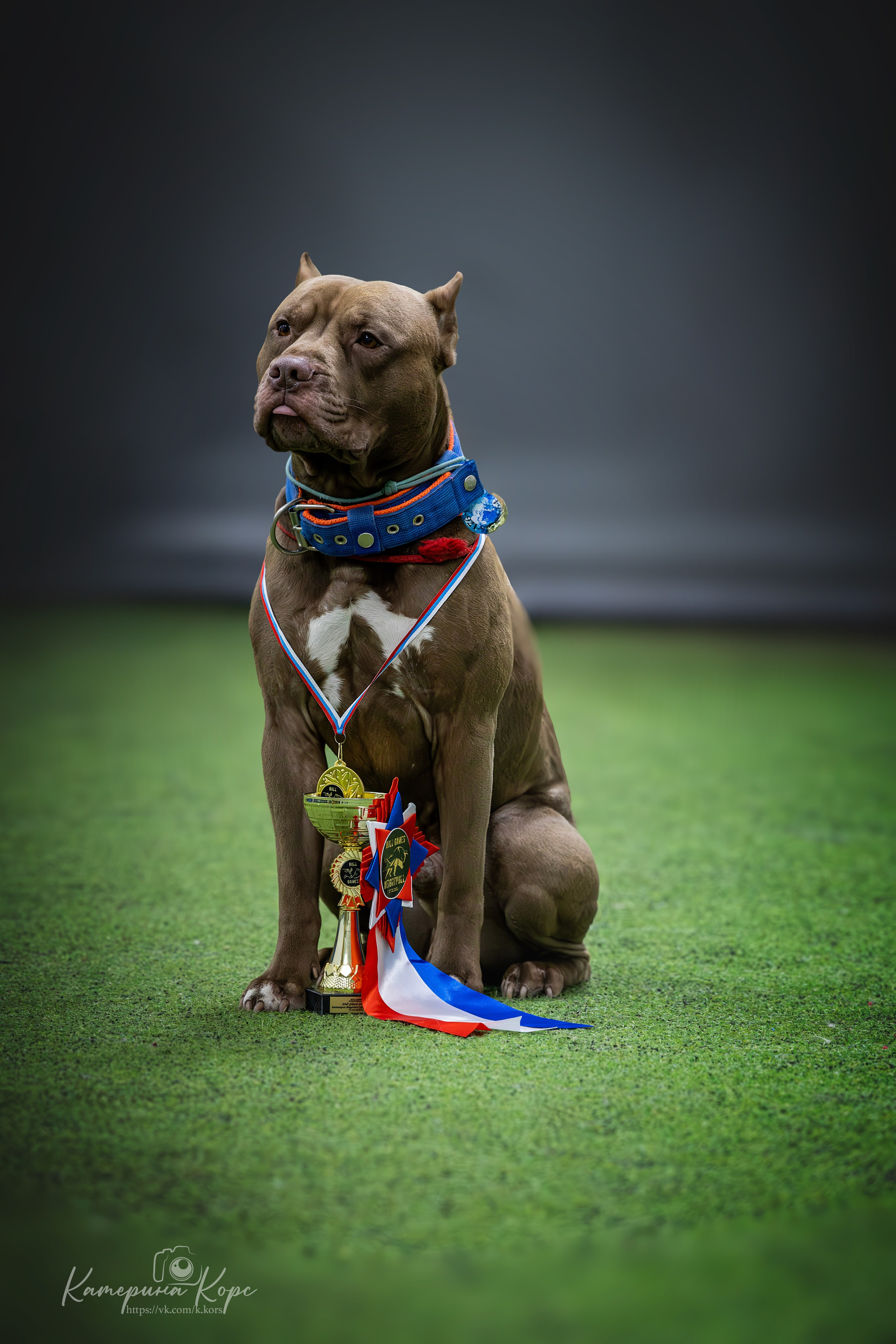 Спорт. Главная