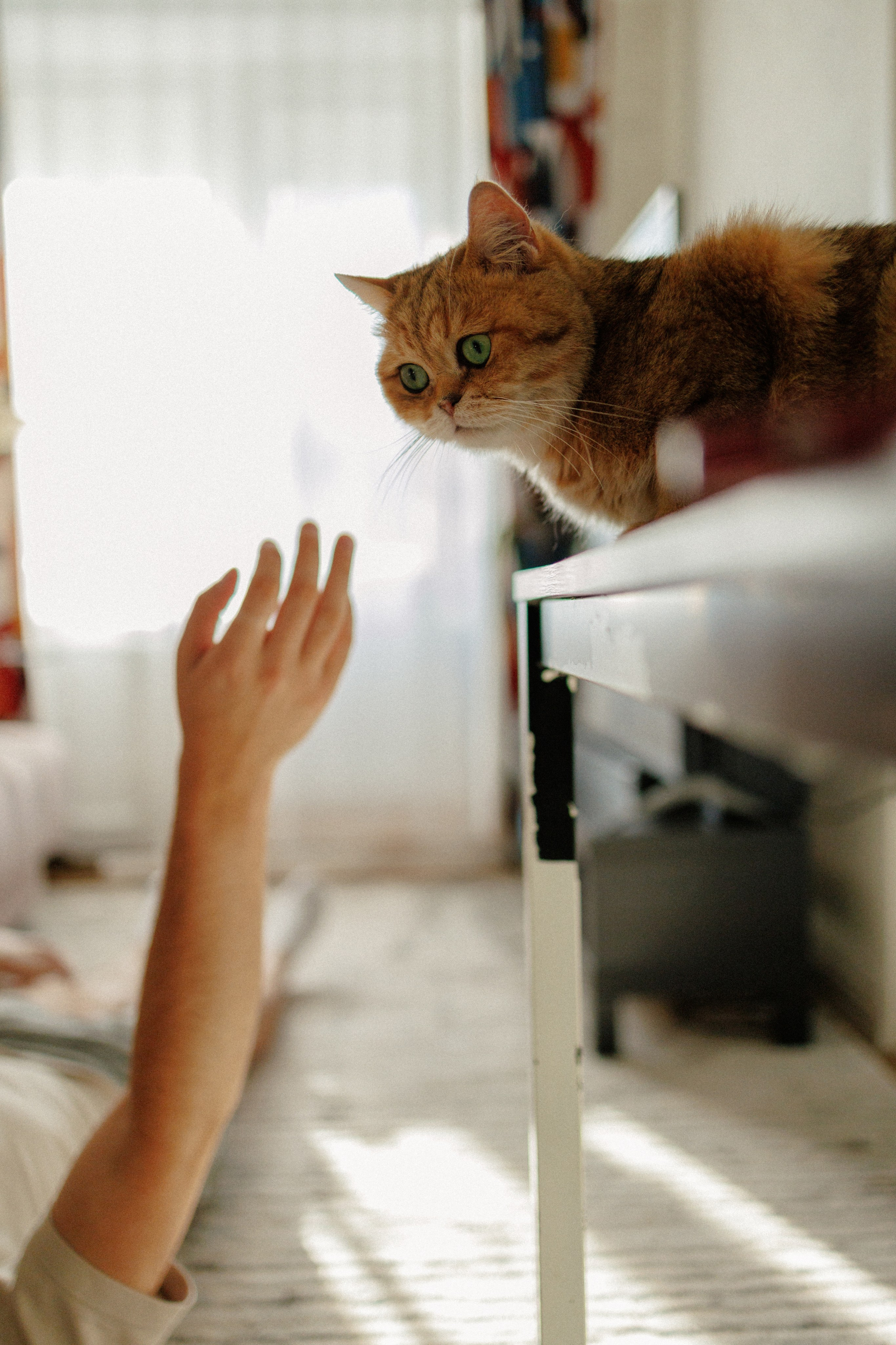 Тихон и его семья. Фотограф в Санкт-Петербурге Алёна Губинская