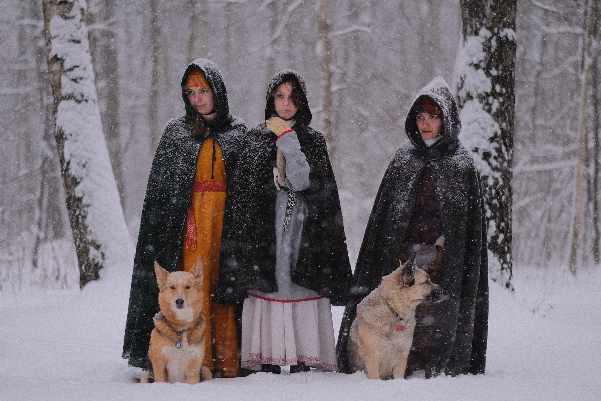 Герда, Лиса и их люди. Дмитрий Бречалов