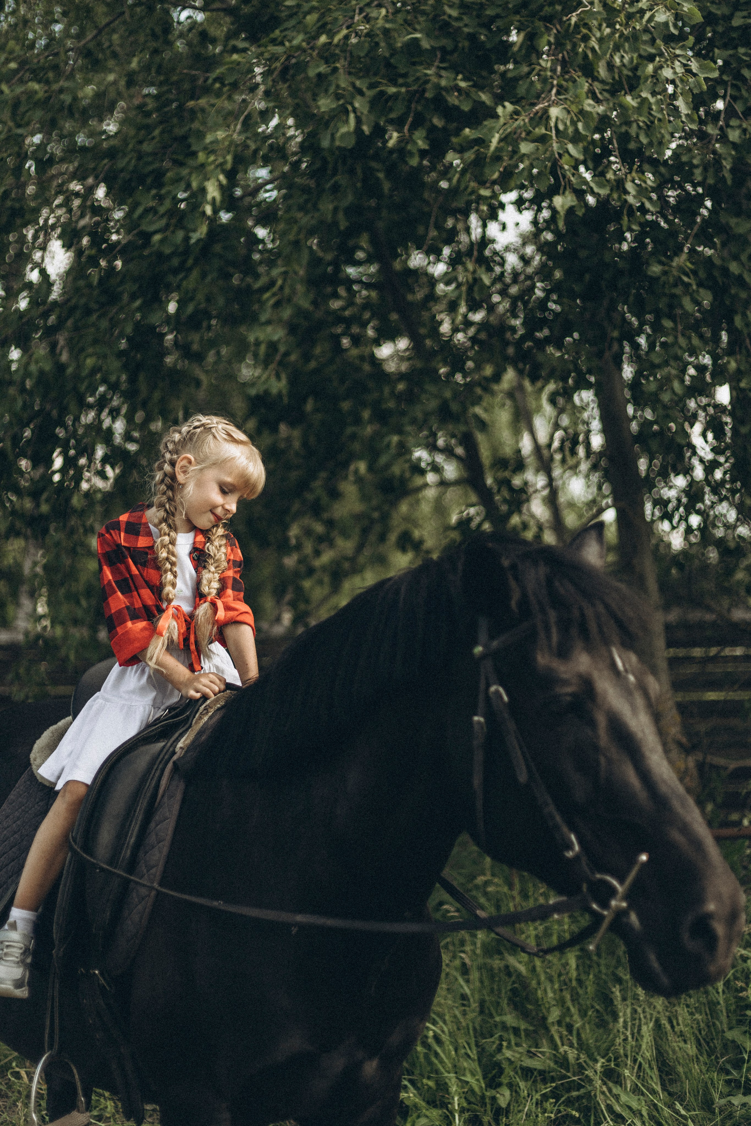 Семейная прогулка с лошадкой. Семейный и детский фотограф в Рязани Васюгова Мария