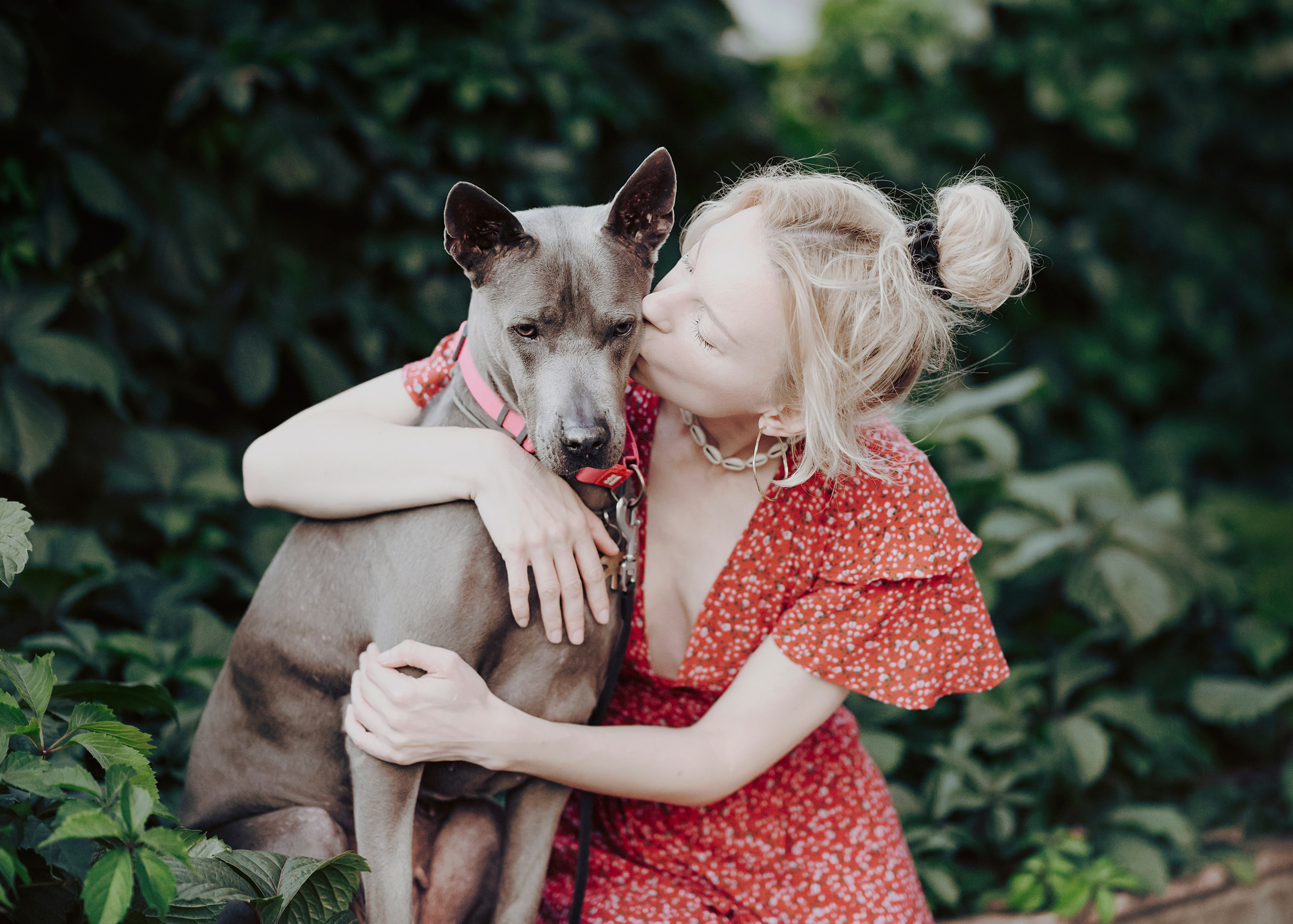 Шарма. Фотограф- анималист Александра Матвеева