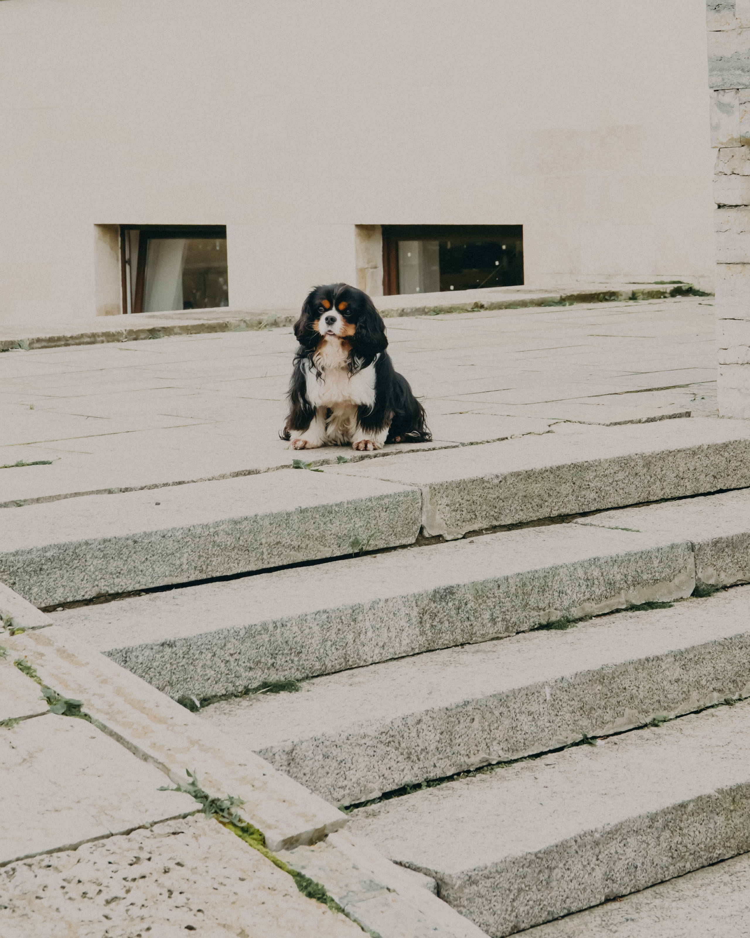 Гилдин. Портретный фотограф Ванинен Анастасия. Санкт-Петербург