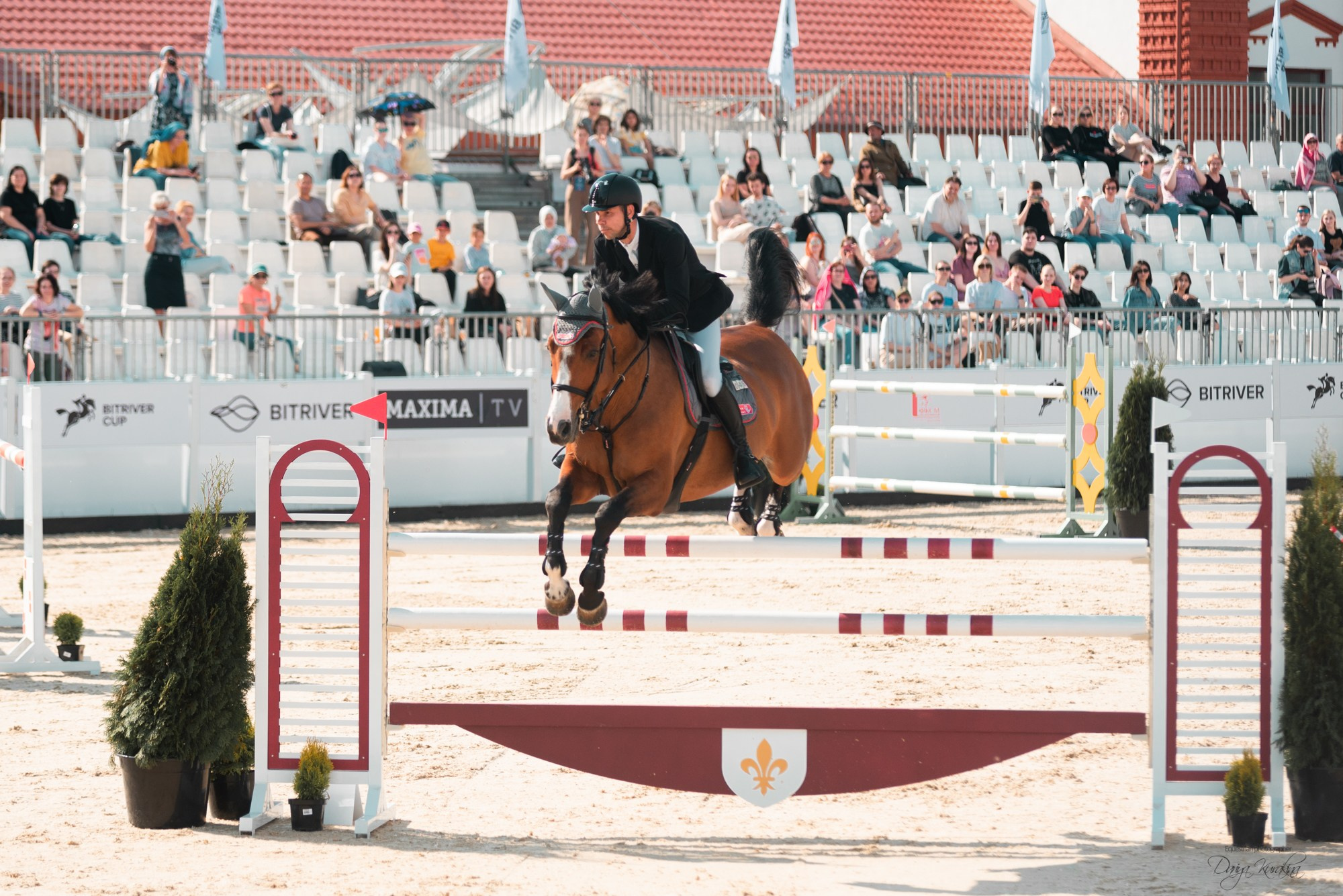 BITRIVER CUP 2023. Конный фотограф Куракина Дарья • Фотосессии с лошадьми