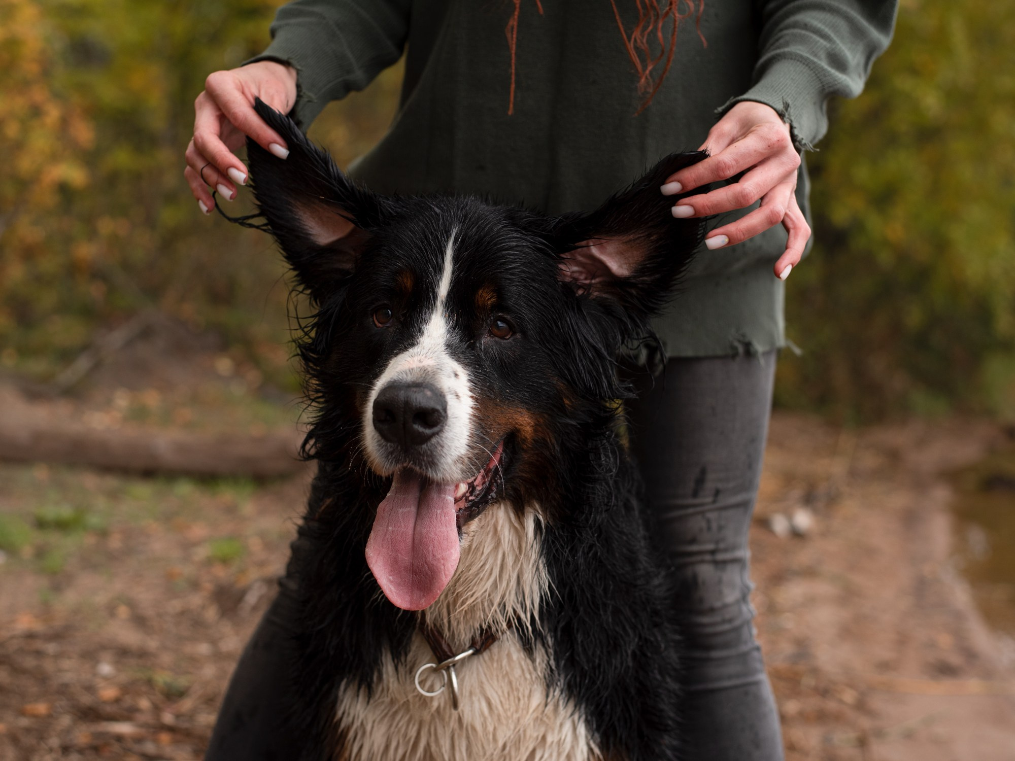 Портретная съемка, портрет девушки, фотография, фотограф спб, портретный фотограф спб, студийная съемка, съемка в студии, профессиональный фотограф, фотосессии дома, фотосессия с девушкой, домашние съемки, фотосессия с парнем, конная фотография, съемка с лошадью, lifestyle фотография, фотограф спб, питер фотограф, лавстори, лайфстайл