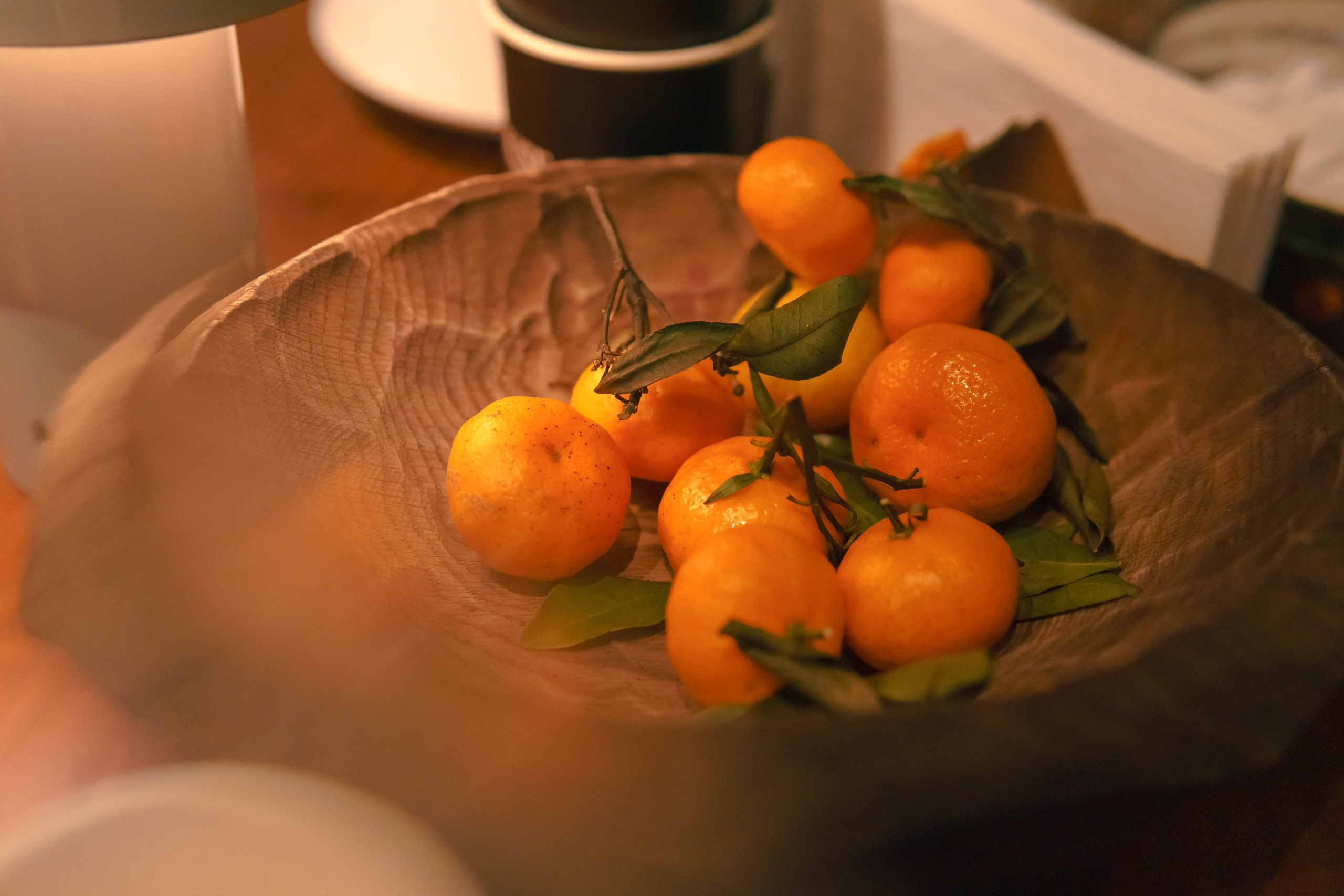 Новогодний мастер-класс по изготовлению свечей. Фотограф-анималист Ксения Воробьева, Москва