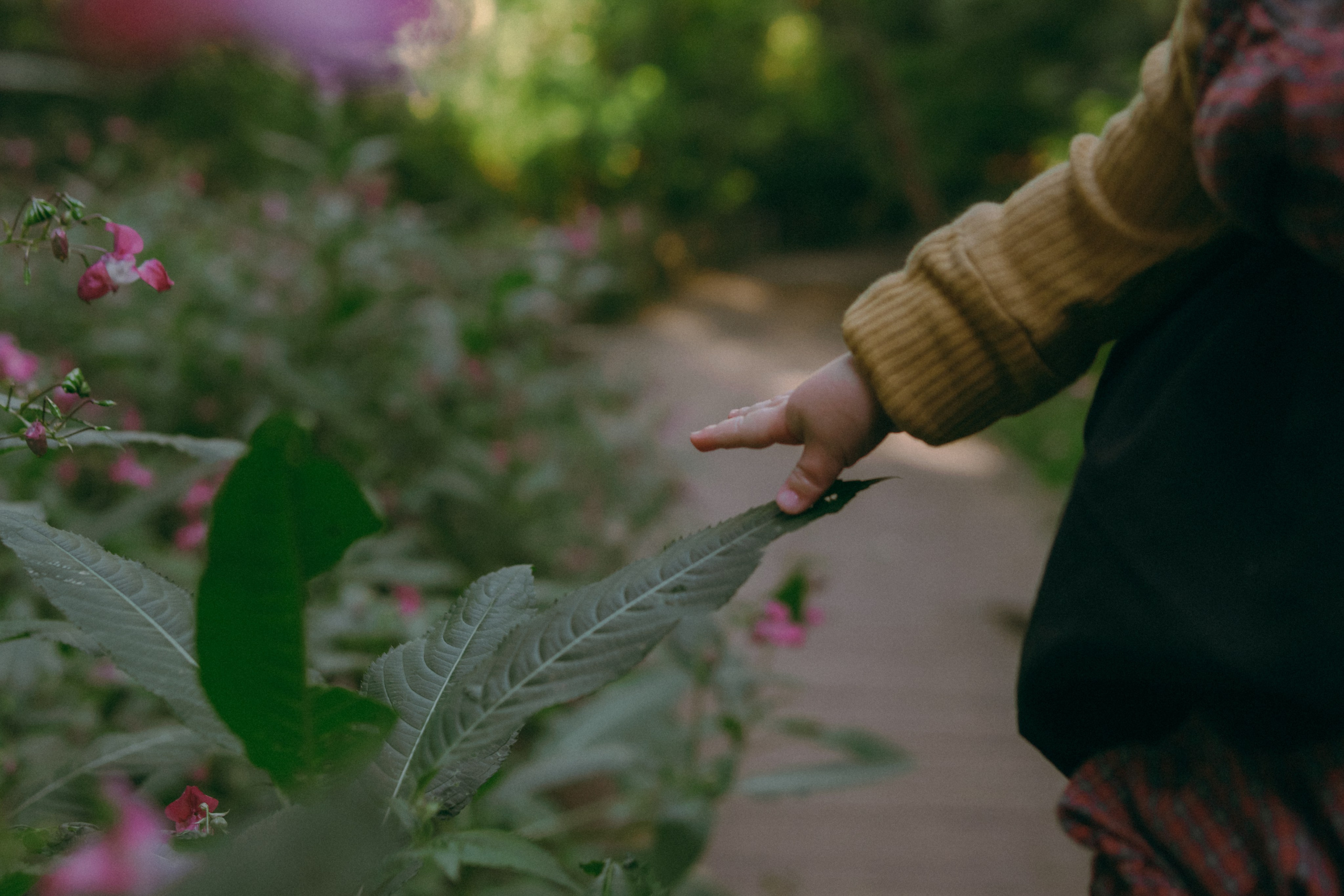 Маша и Мирра. Фотограф-анималист Ксения Воробьева, Москва