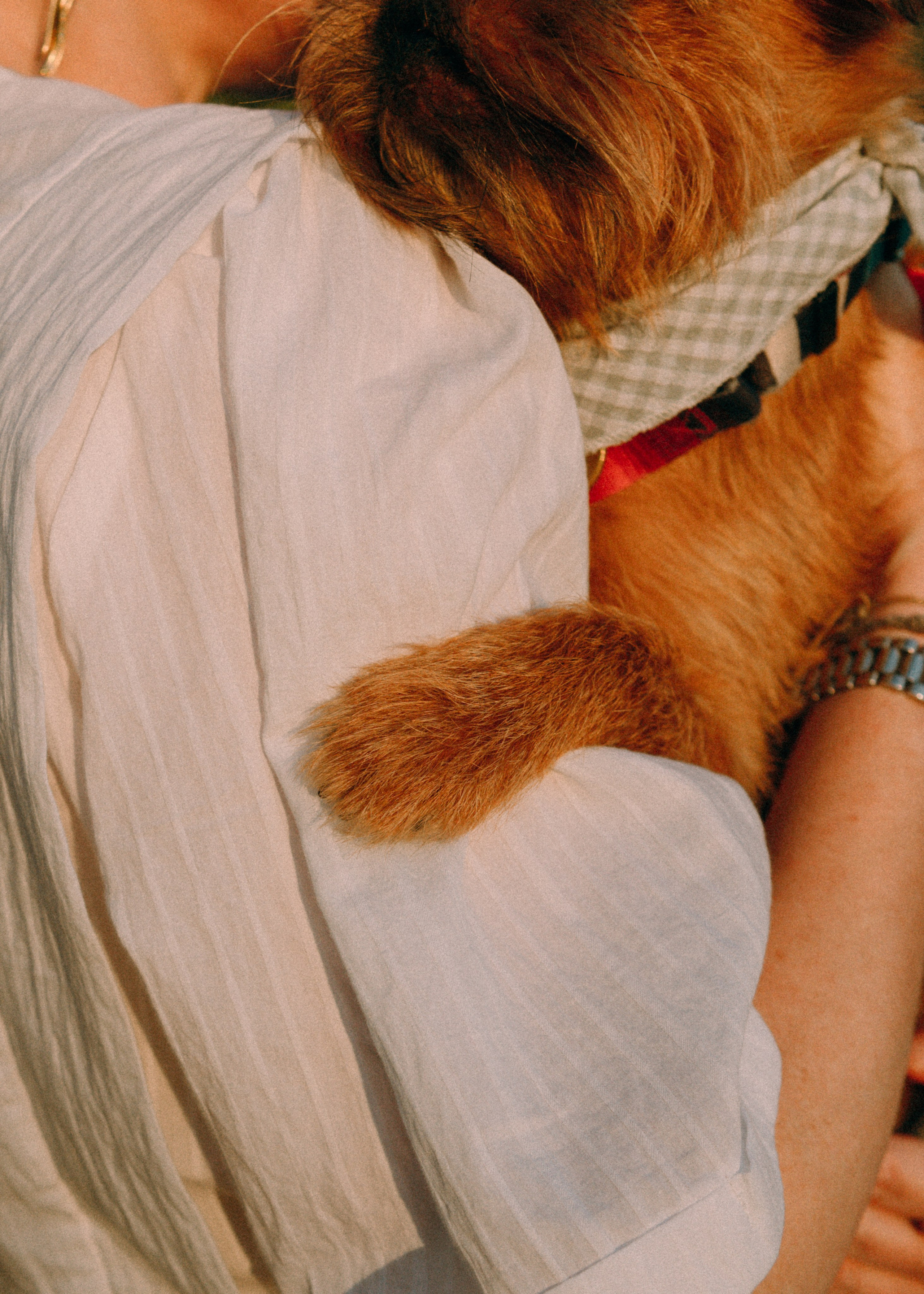 Лена и Альфи. Фотограф-анималист Ксения Воробьева, Москва