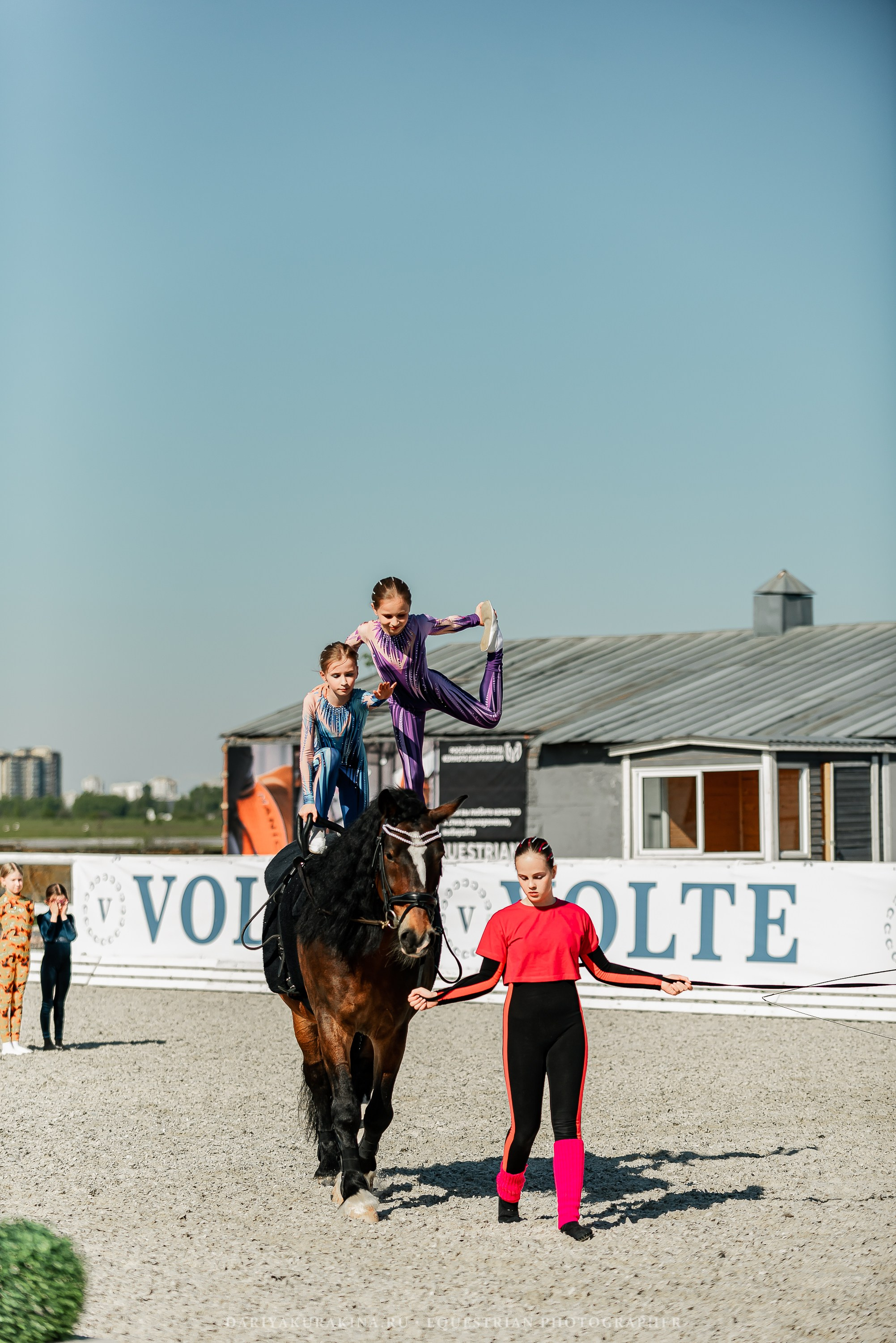РЕПОРТАЖ МКК ВОЛЬТ «LA TULIPS». Конный фотограф Куракина Дарья • Фотосессии с лошадьми