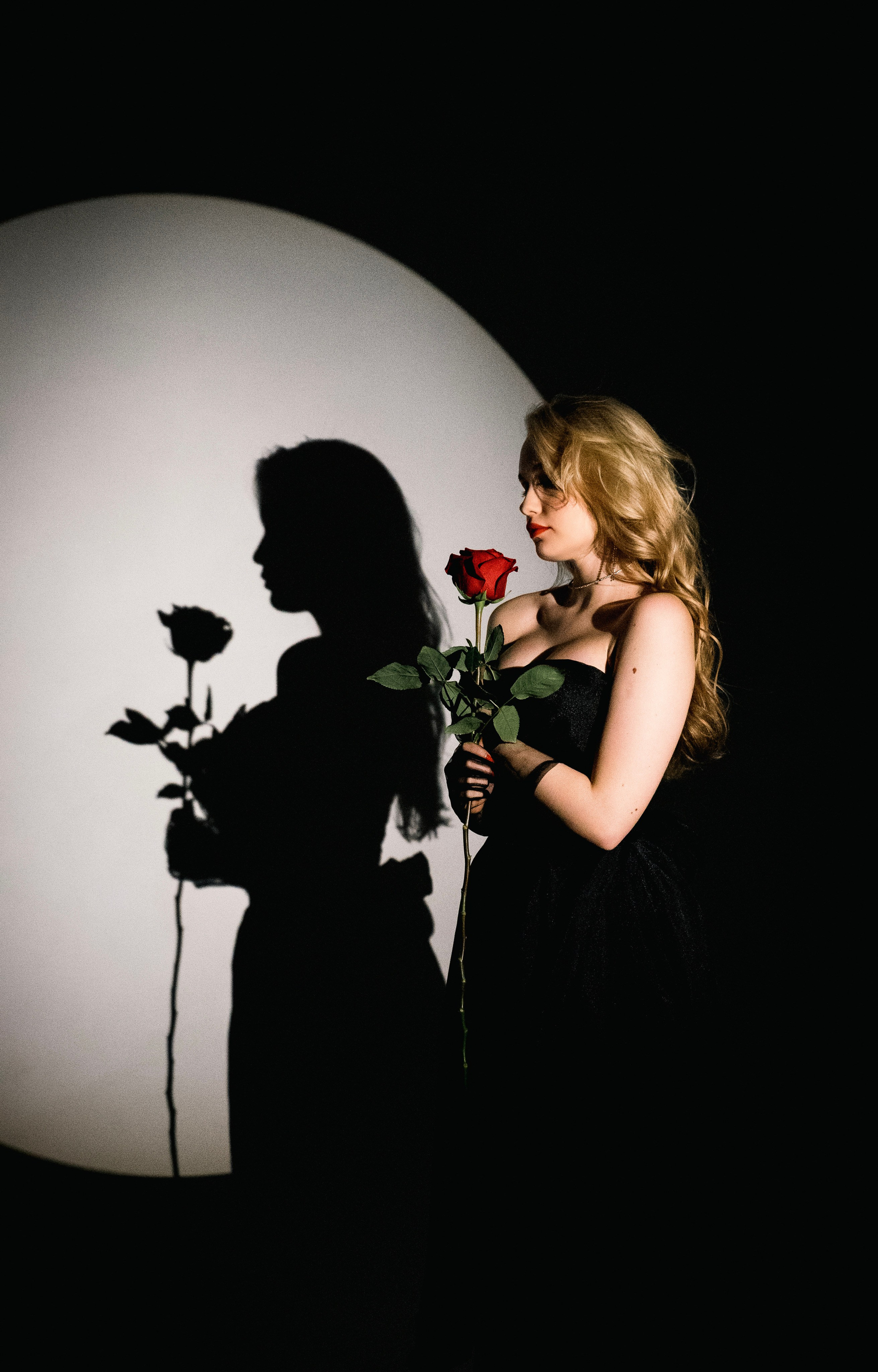 Красная роза. Ваш фотограф Tetiana Kolos, найду самый удачный ракурс и словлю момент