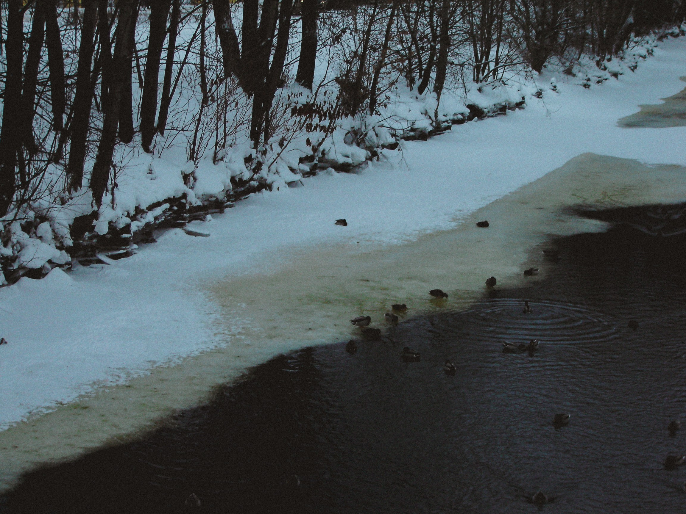 Sony cyber shot dsc p50. Анна Мильч