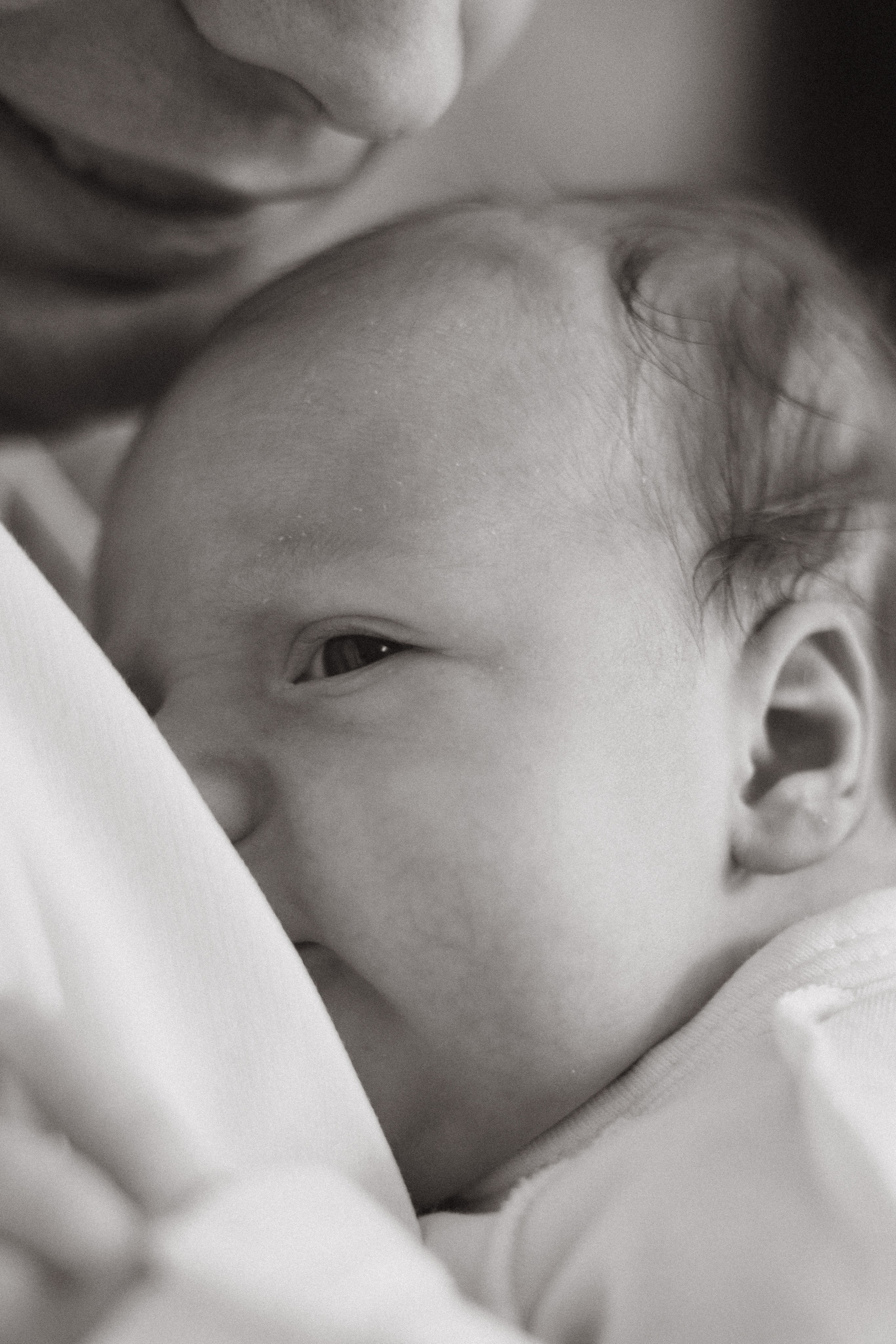 Даша, Артем и Тимофей. Фотограф в Нижнем Новгороде Воробьева Анжела