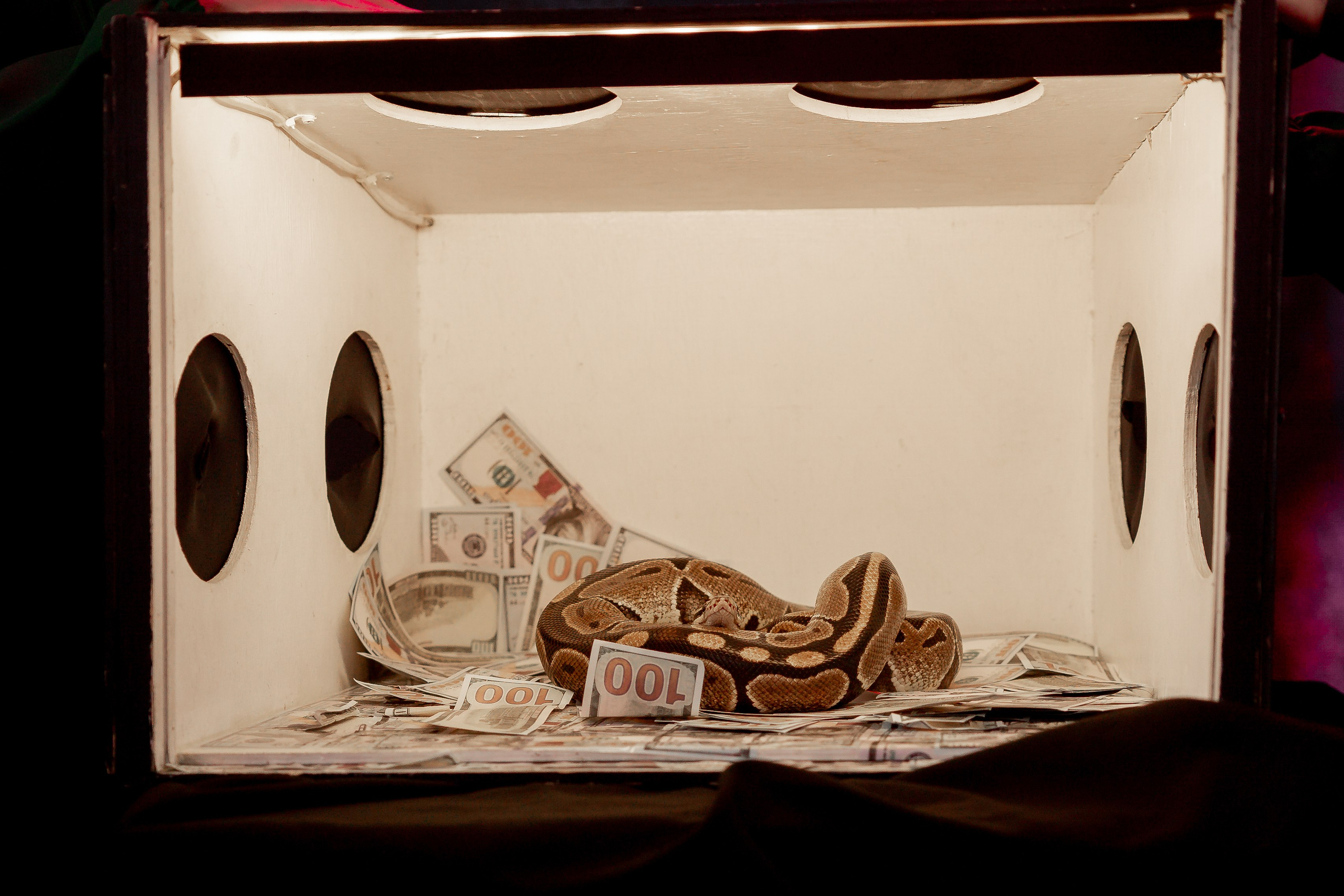 Игра в Кальмара. Свадебный и контент фотограф в Москве — Юлия Барно (Баранова)